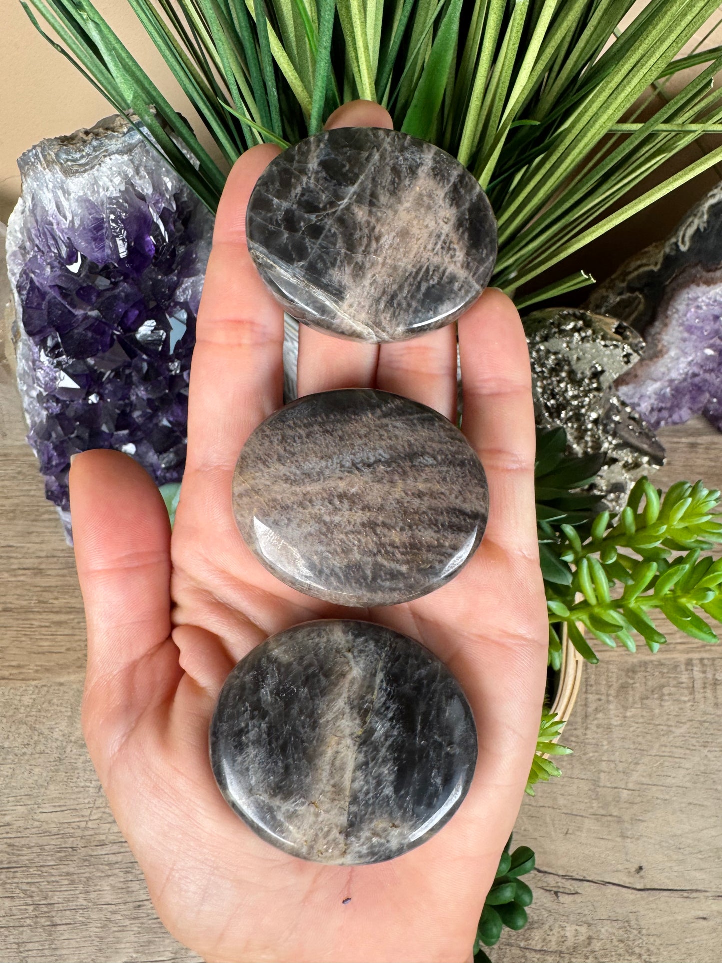 Black Moonstone Palm Stone