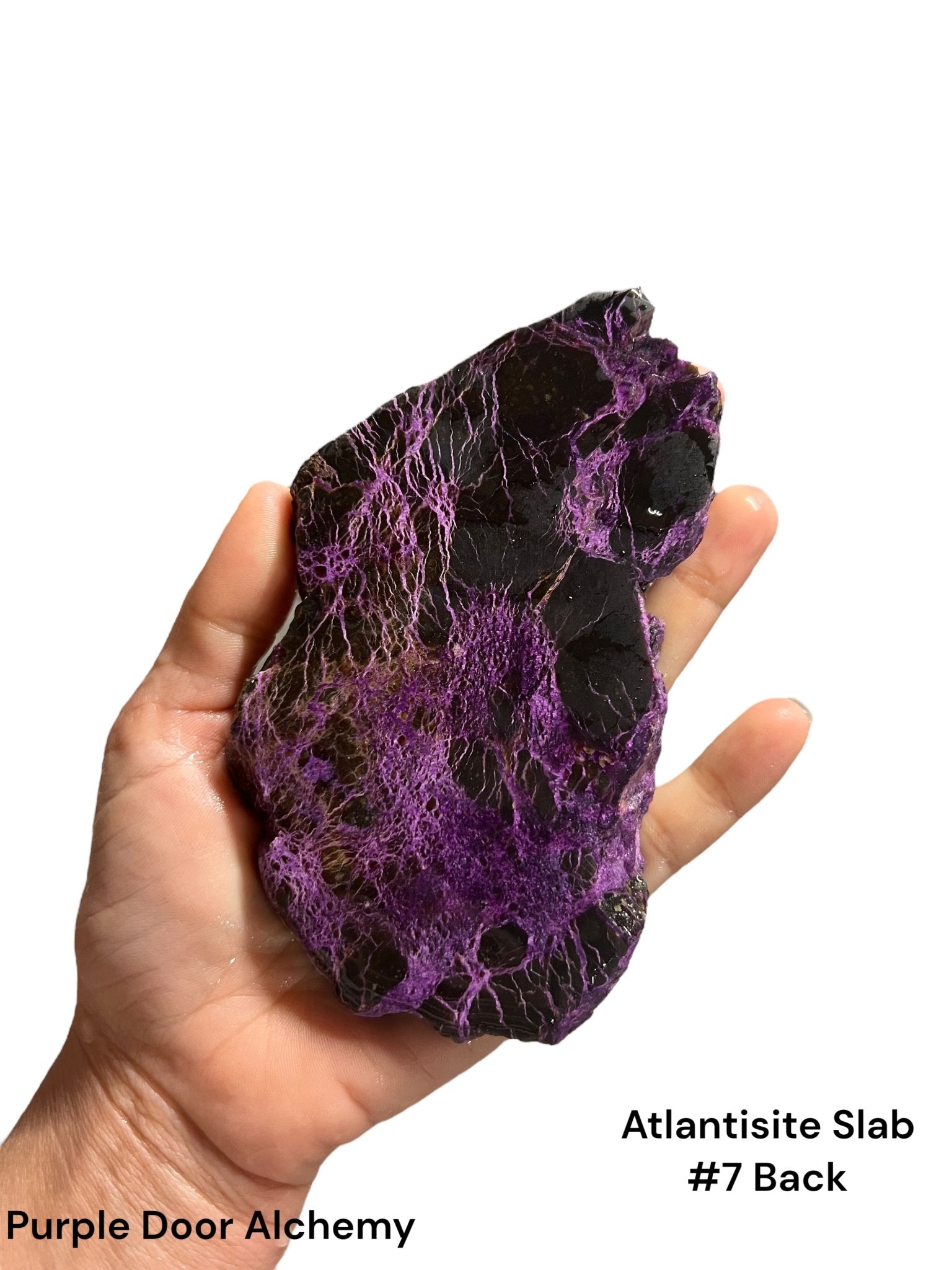 Atlantisite Slabs - Purple Door Alchemy