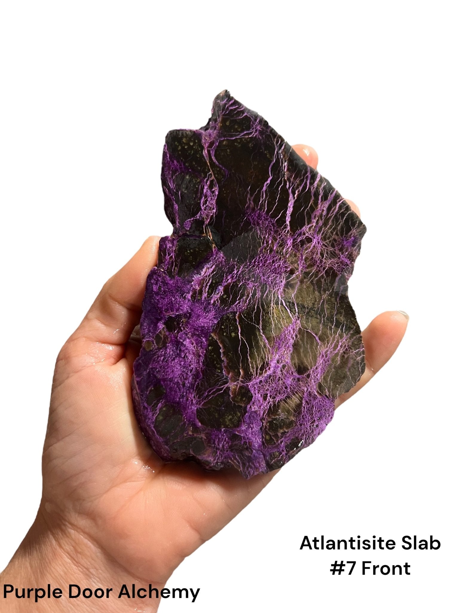 Atlantisite Slabs - Purple Door Alchemy