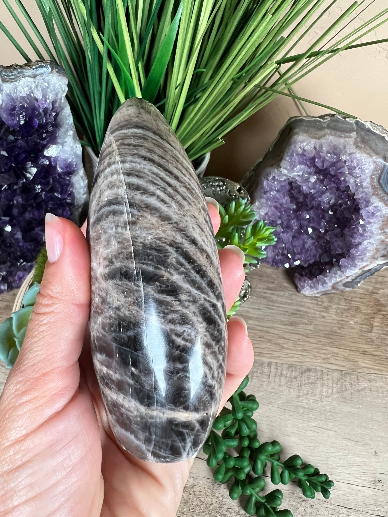 Black Moonstone Freeform 4.5 inch - Purple Door Alchemy