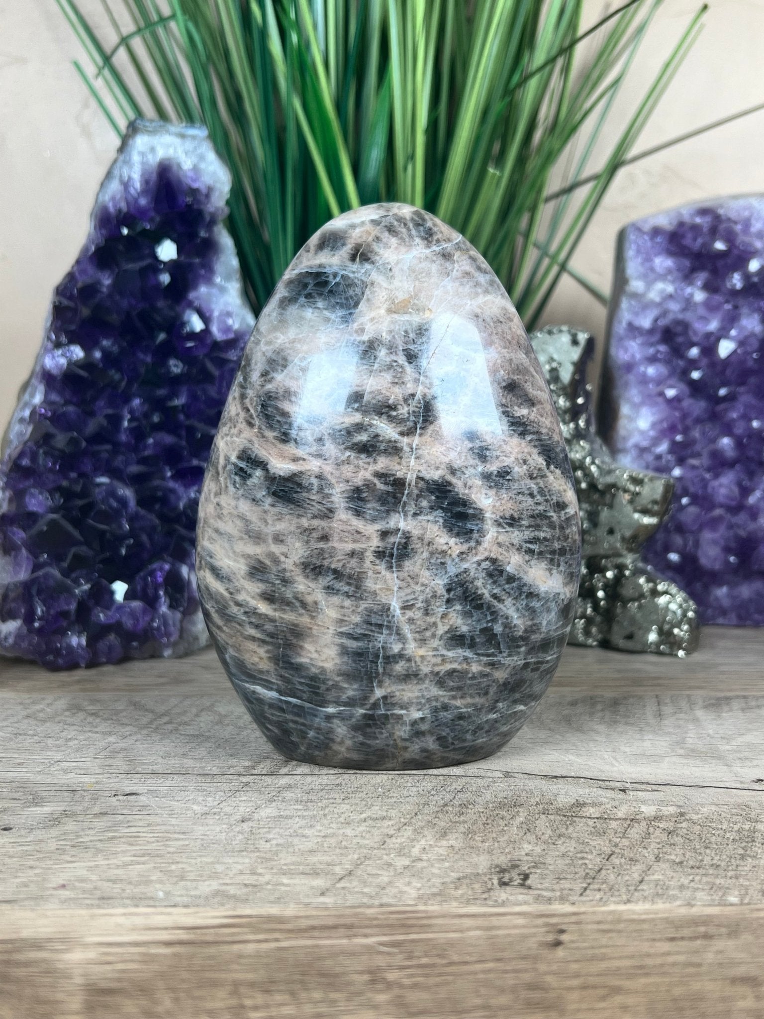 Black Moonstone Freeform 5.3 Inch - Purple Door Alchemy