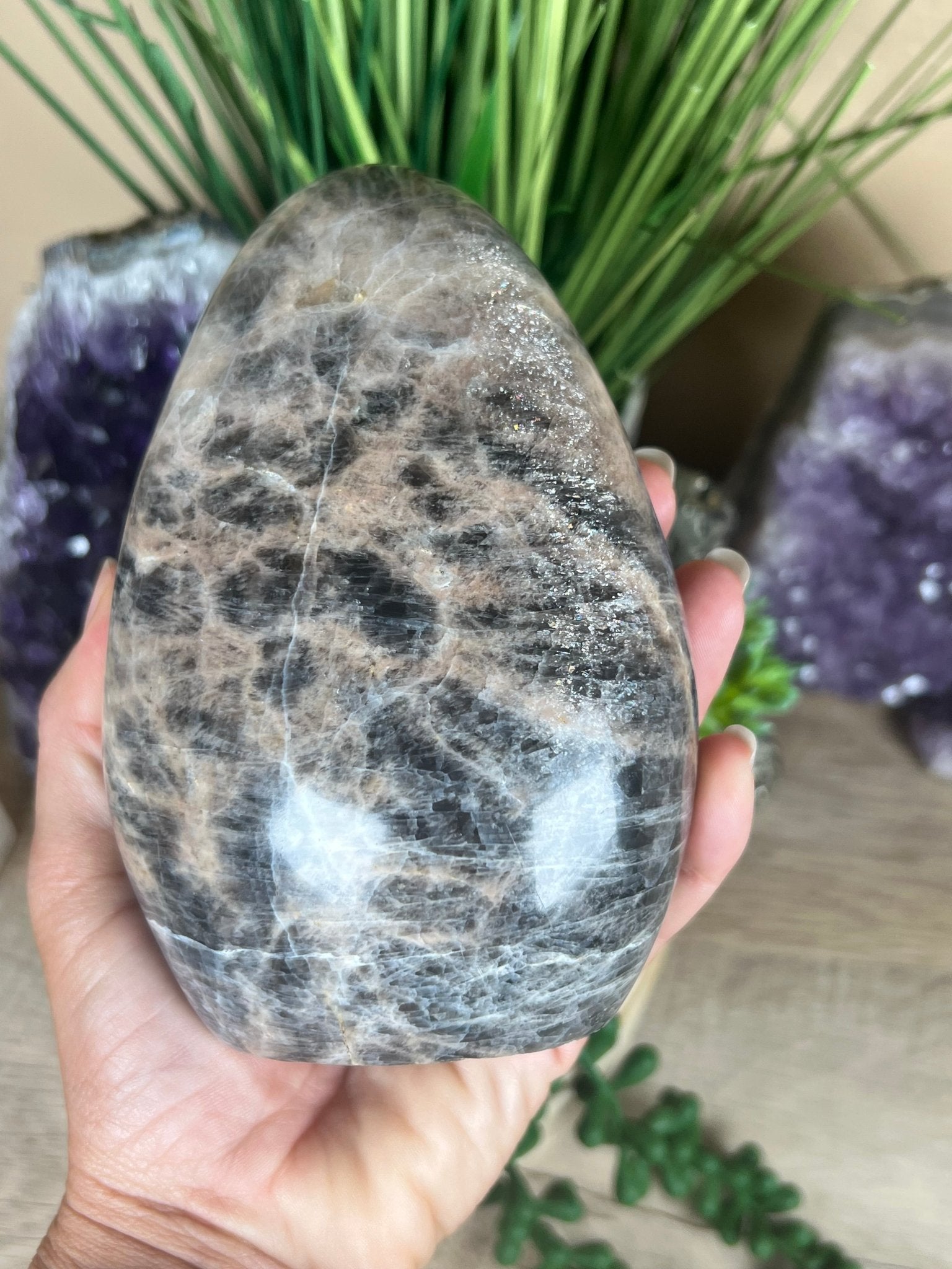 Black Moonstone Freeform 5.3 Inch - Purple Door Alchemy