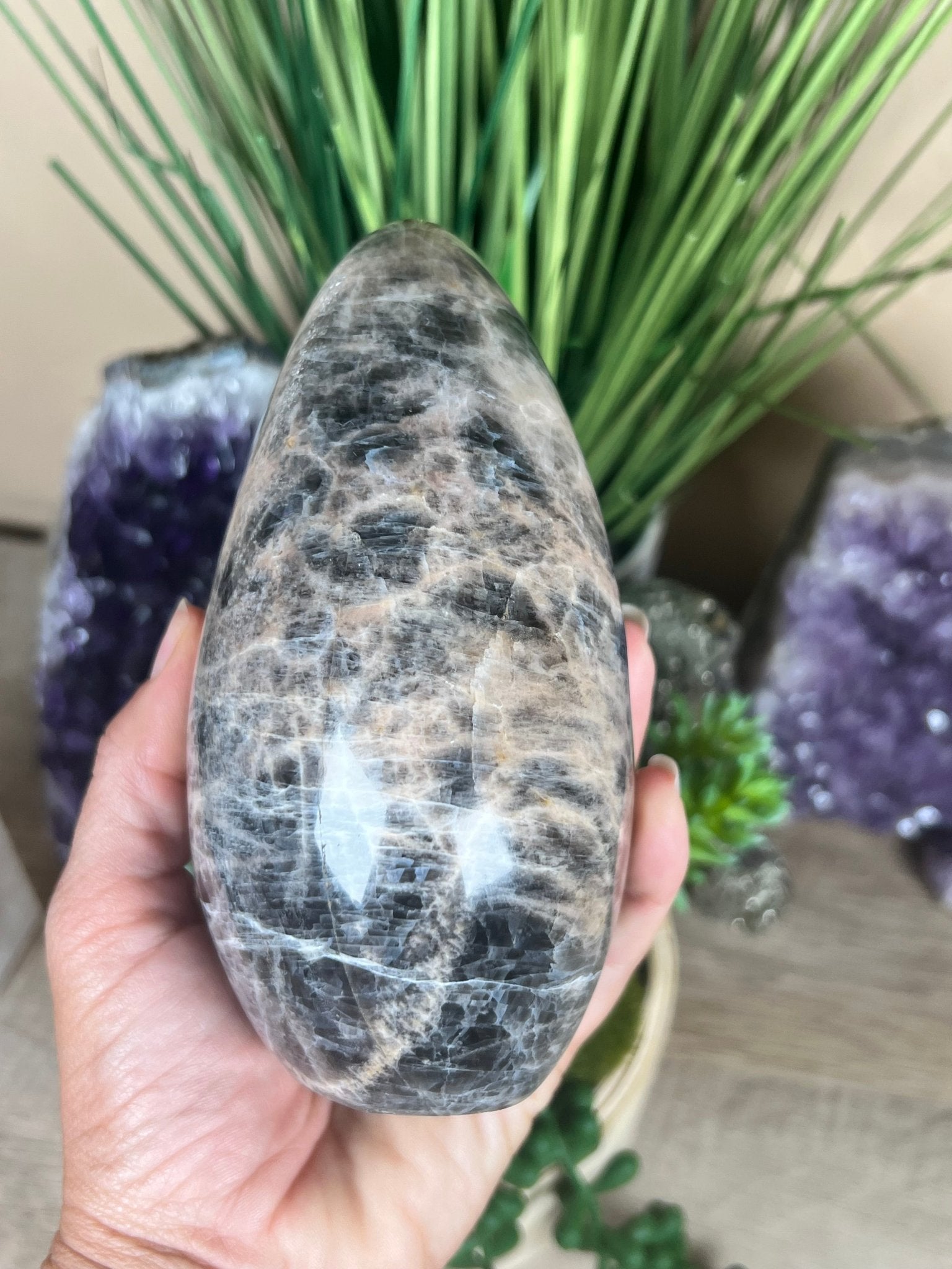 Black Moonstone Freeform 5.3 Inch - Purple Door Alchemy