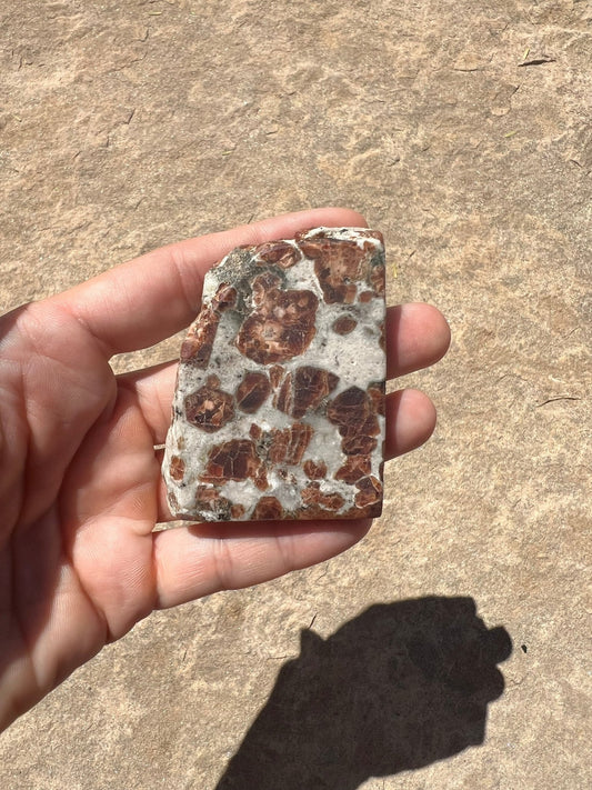 Garnet in Wollastonite Slab 62g - Purple Door Alchemy