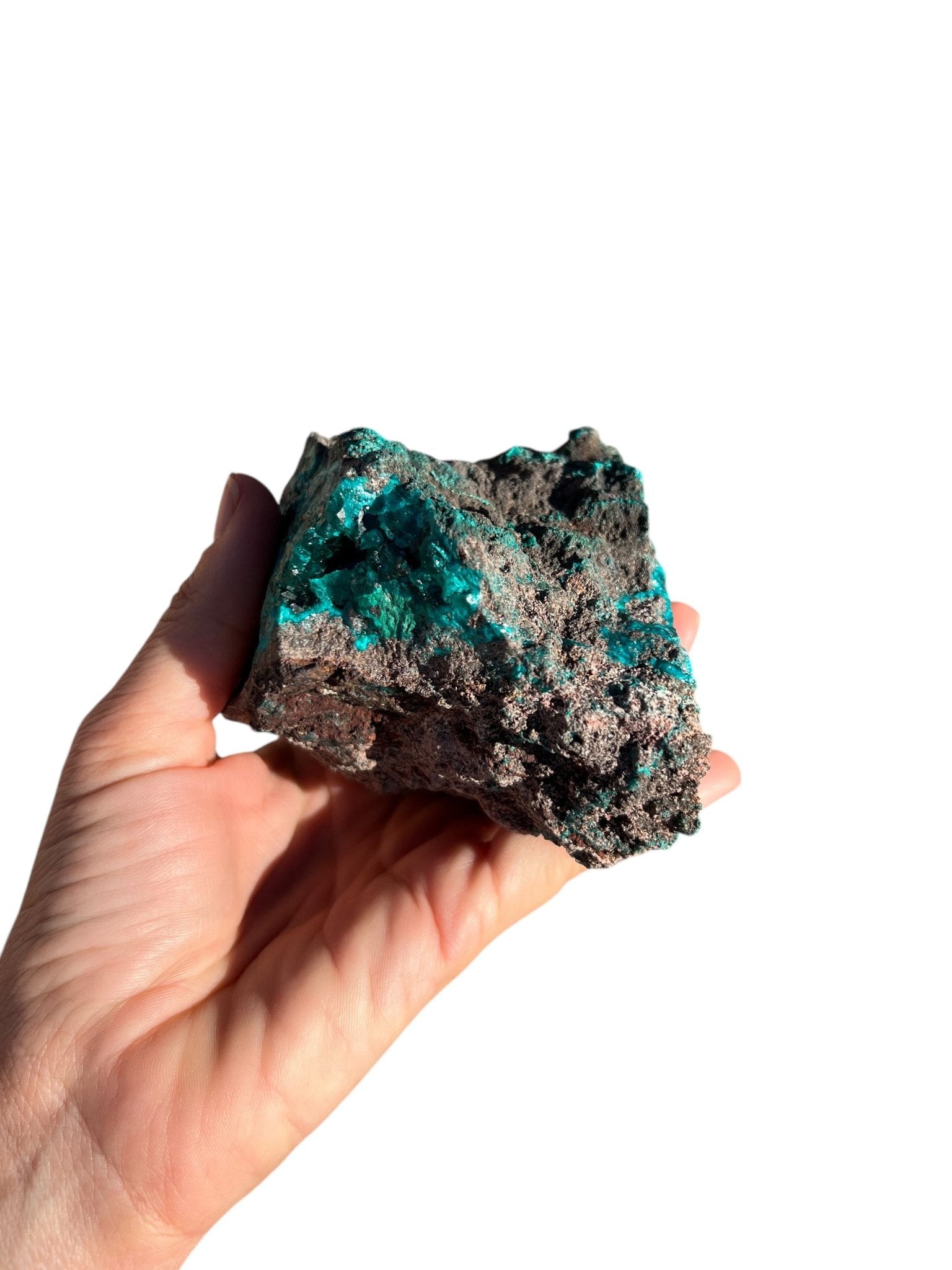 Gemmy Dioptase Extra Large Specimen 636g - Purple Door Alchemy