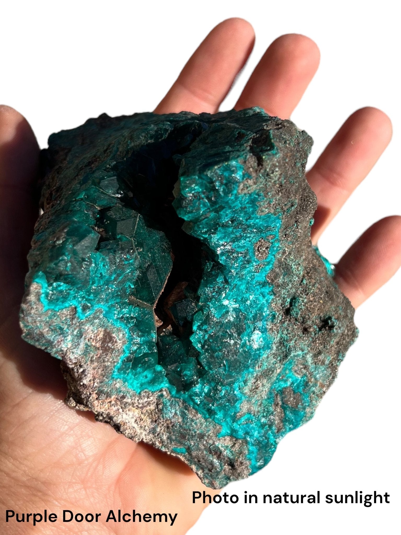 Gemmy Dioptase Extra Large Specimen 636g - Purple Door Alchemy