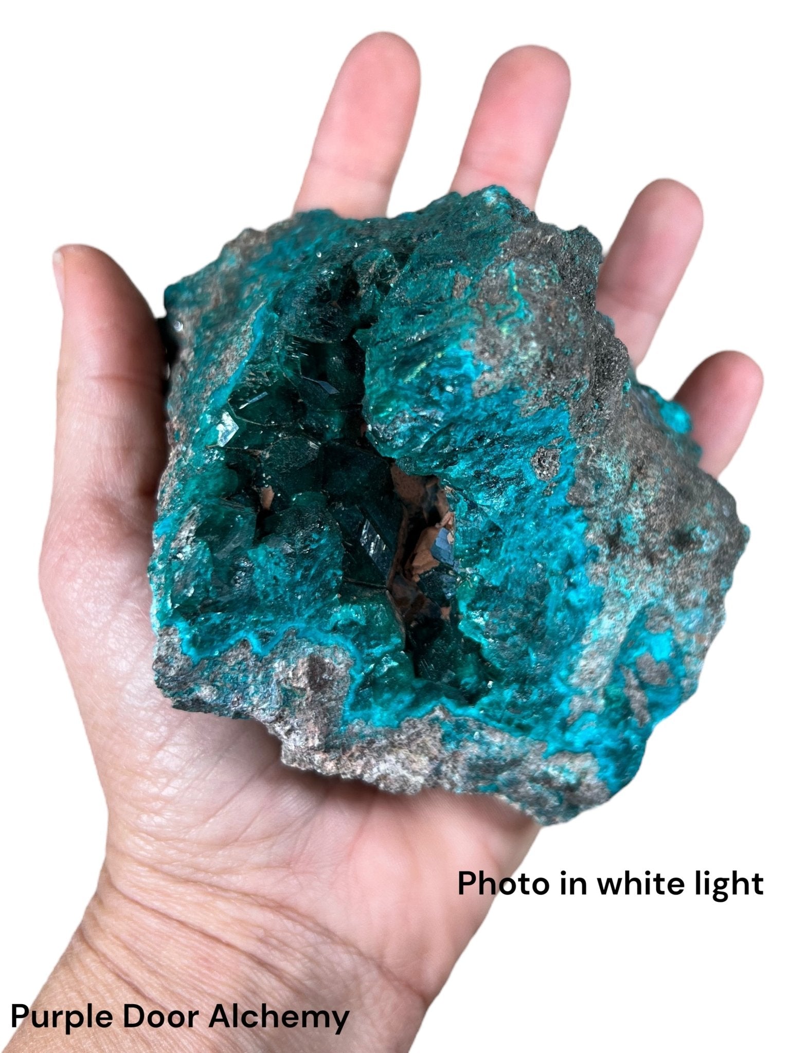 Gemmy Dioptase Extra Large Specimen 636g - Purple Door Alchemy