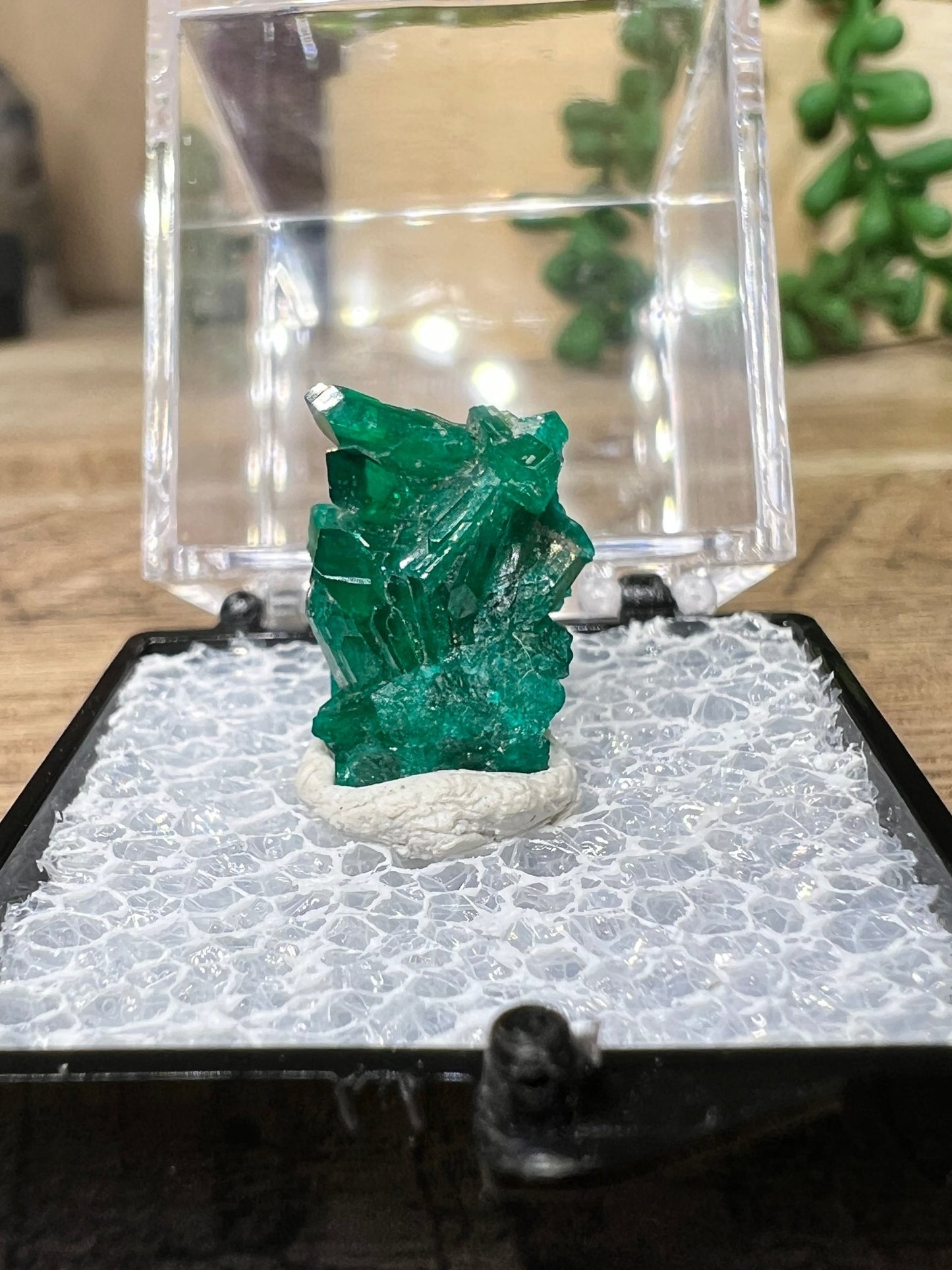 Gemmy Dioptase Micro Specimen 1.51g - Purple Door Alchemy