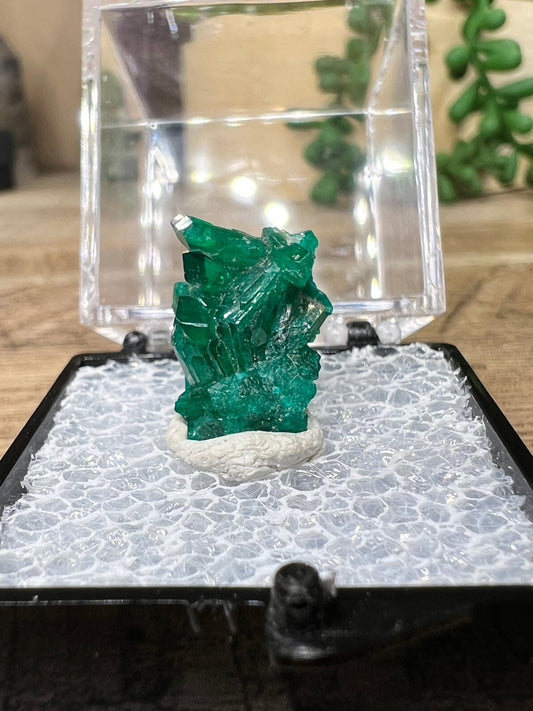 Gemmy Dioptase Micro Specimen 1.51g - Purple Door Alchemy