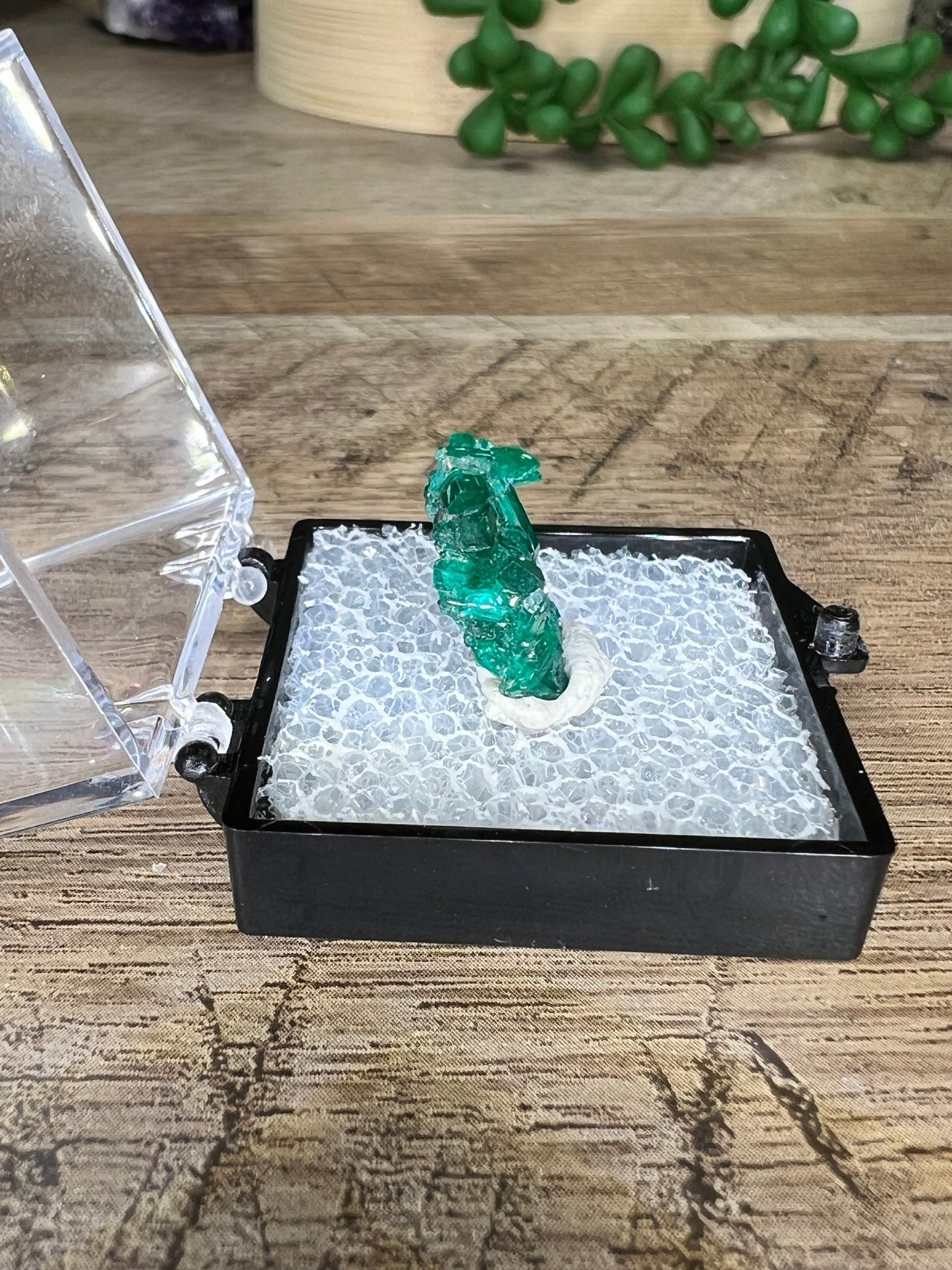 Gemmy Dioptase Micro Specimen 1.51g - Purple Door Alchemy