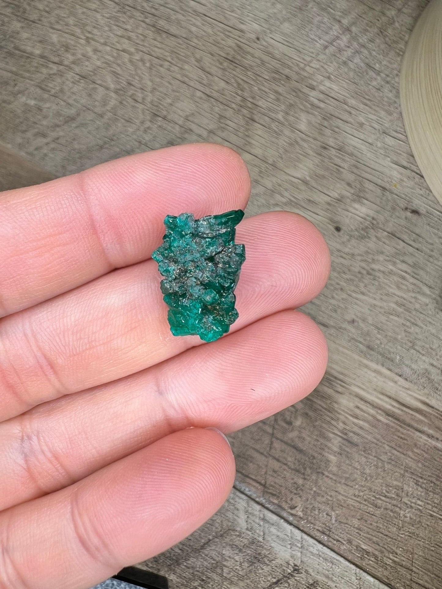 Gemmy Dioptase Micro Specimen 1.51g - Purple Door Alchemy
