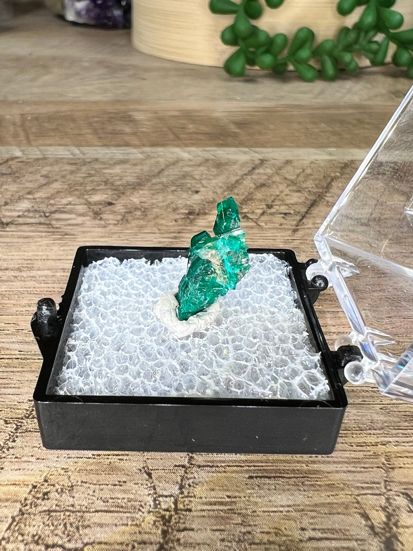 Gemmy Dioptase Micro Specimen 1.51g - Purple Door Alchemy