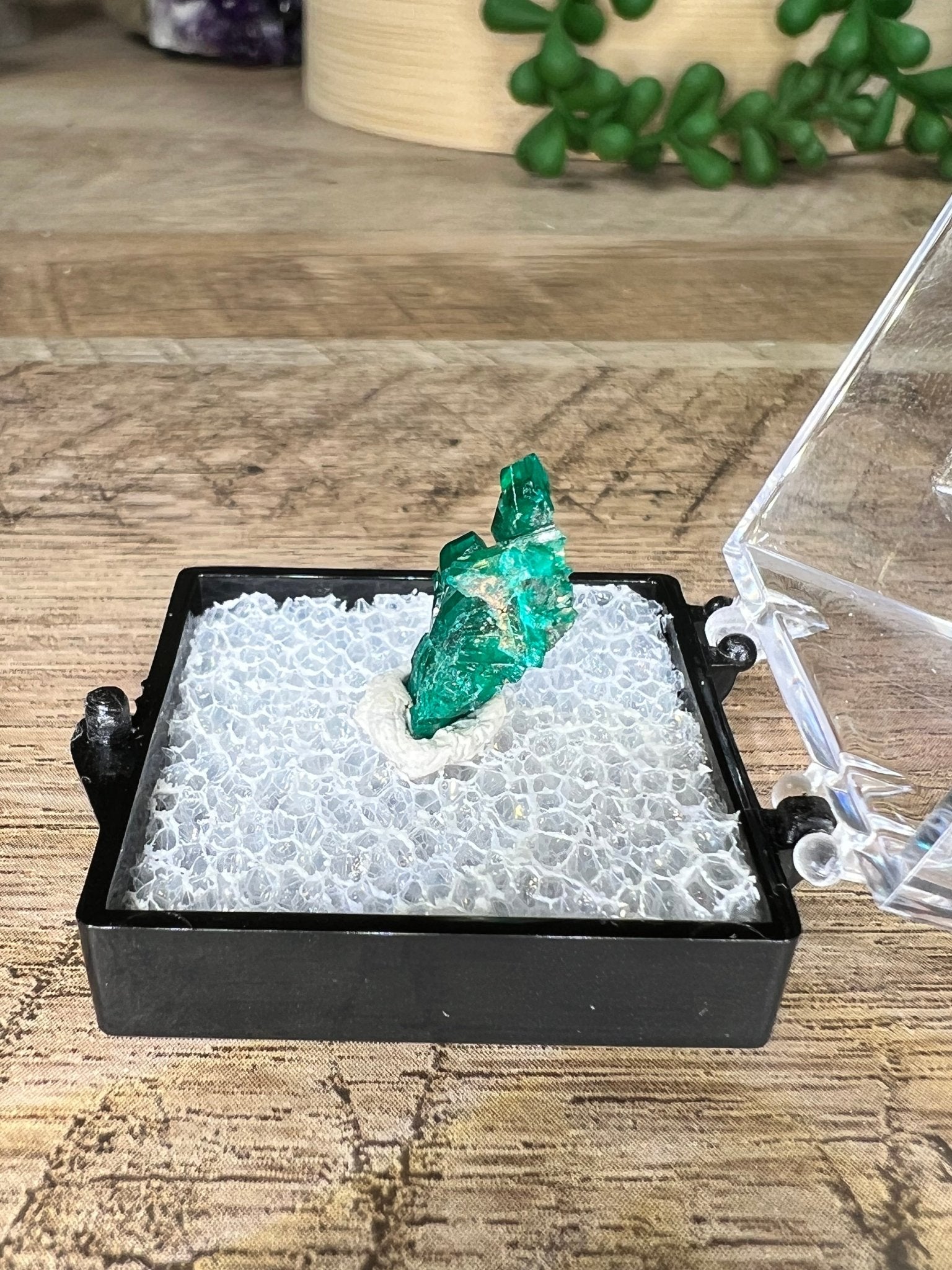 Gemmy Dioptase Micro Specimen 1.51g - Purple Door Alchemy