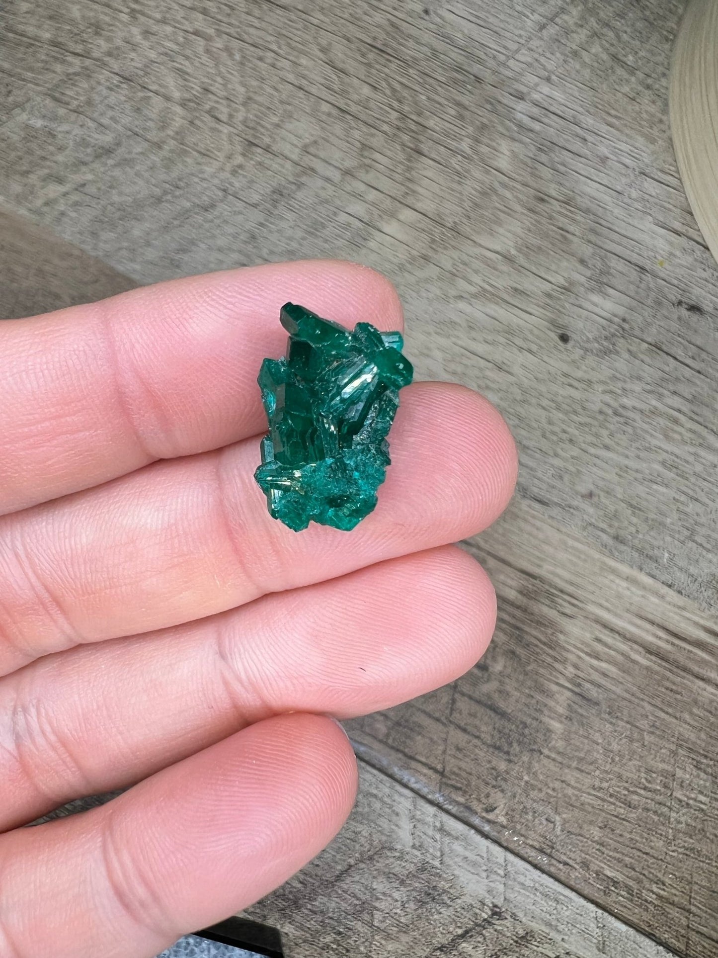 Gemmy Dioptase Micro Specimen 1.51g - Purple Door Alchemy