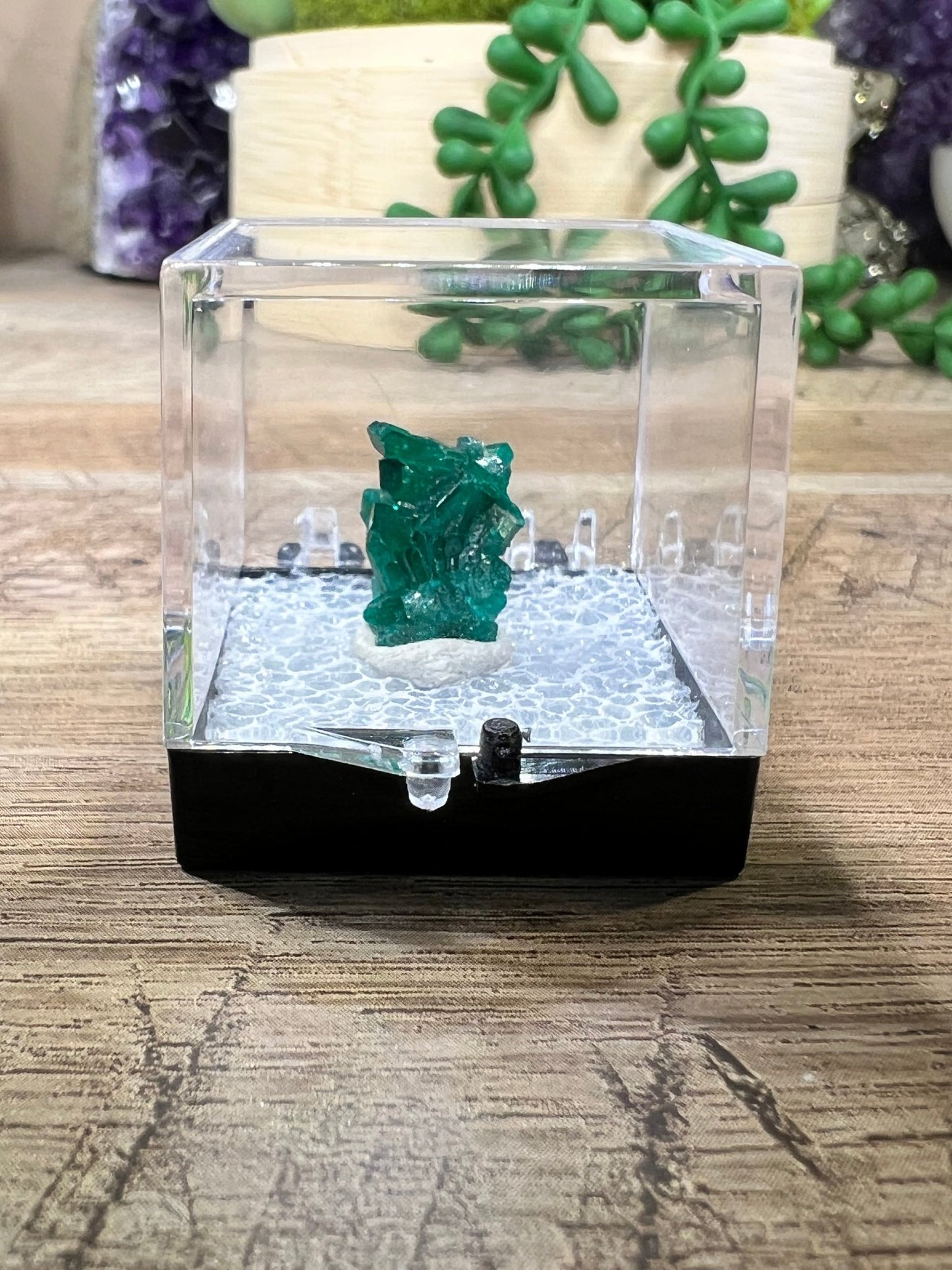 Gemmy Dioptase Micro Specimen 1.51g - Purple Door Alchemy