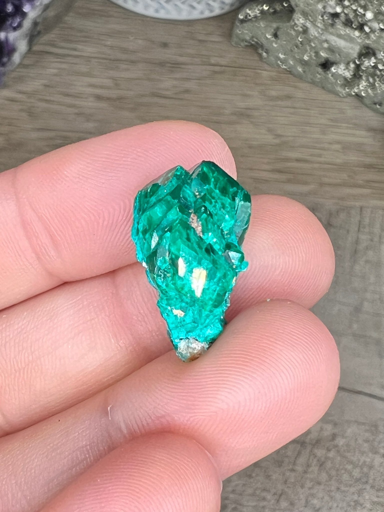 Gemmy Dioptase Small Specimen 5.02g - Purple Door Alchemy