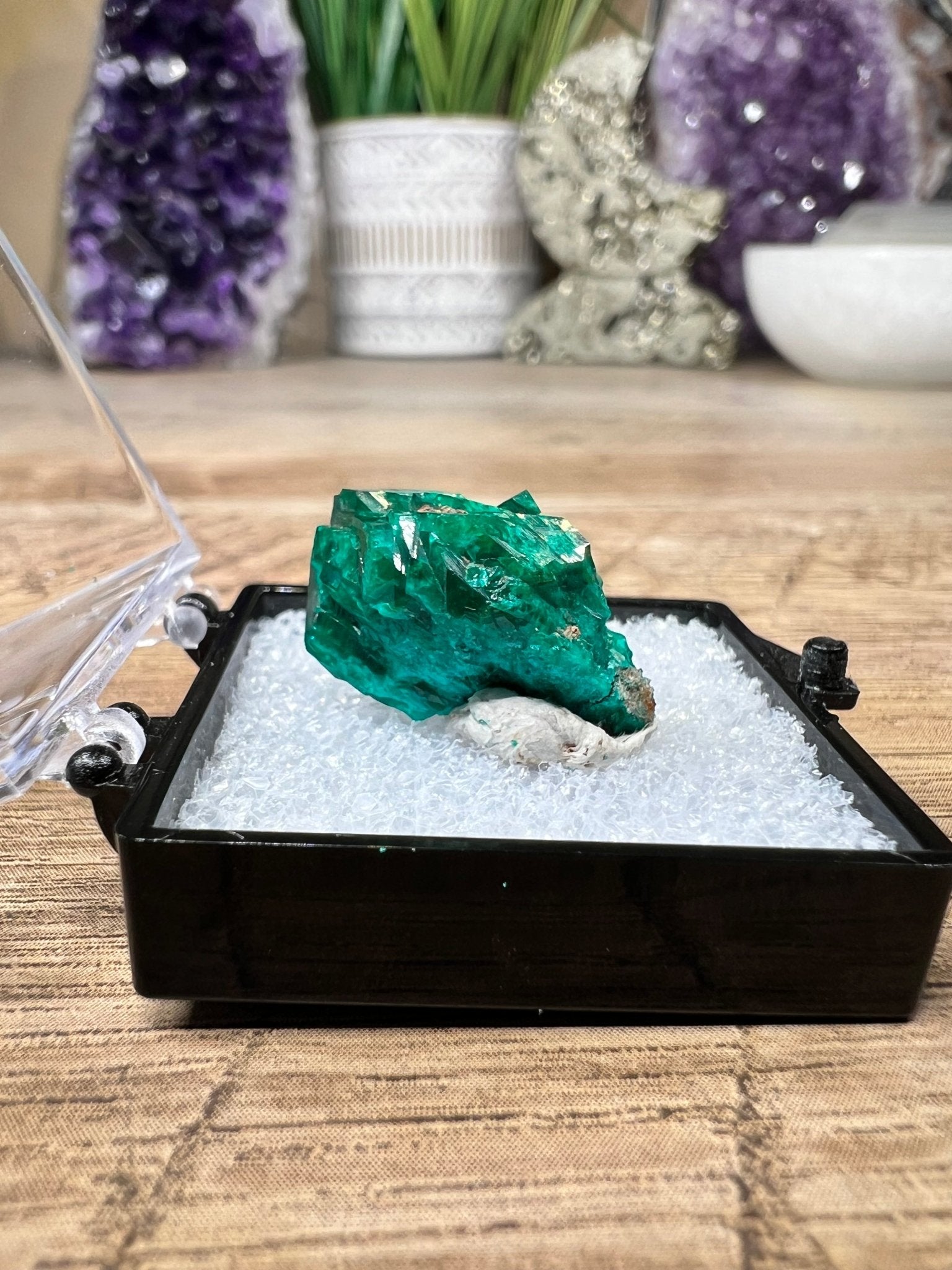 Gemmy Dioptase Small Specimen 5.02g - Purple Door Alchemy