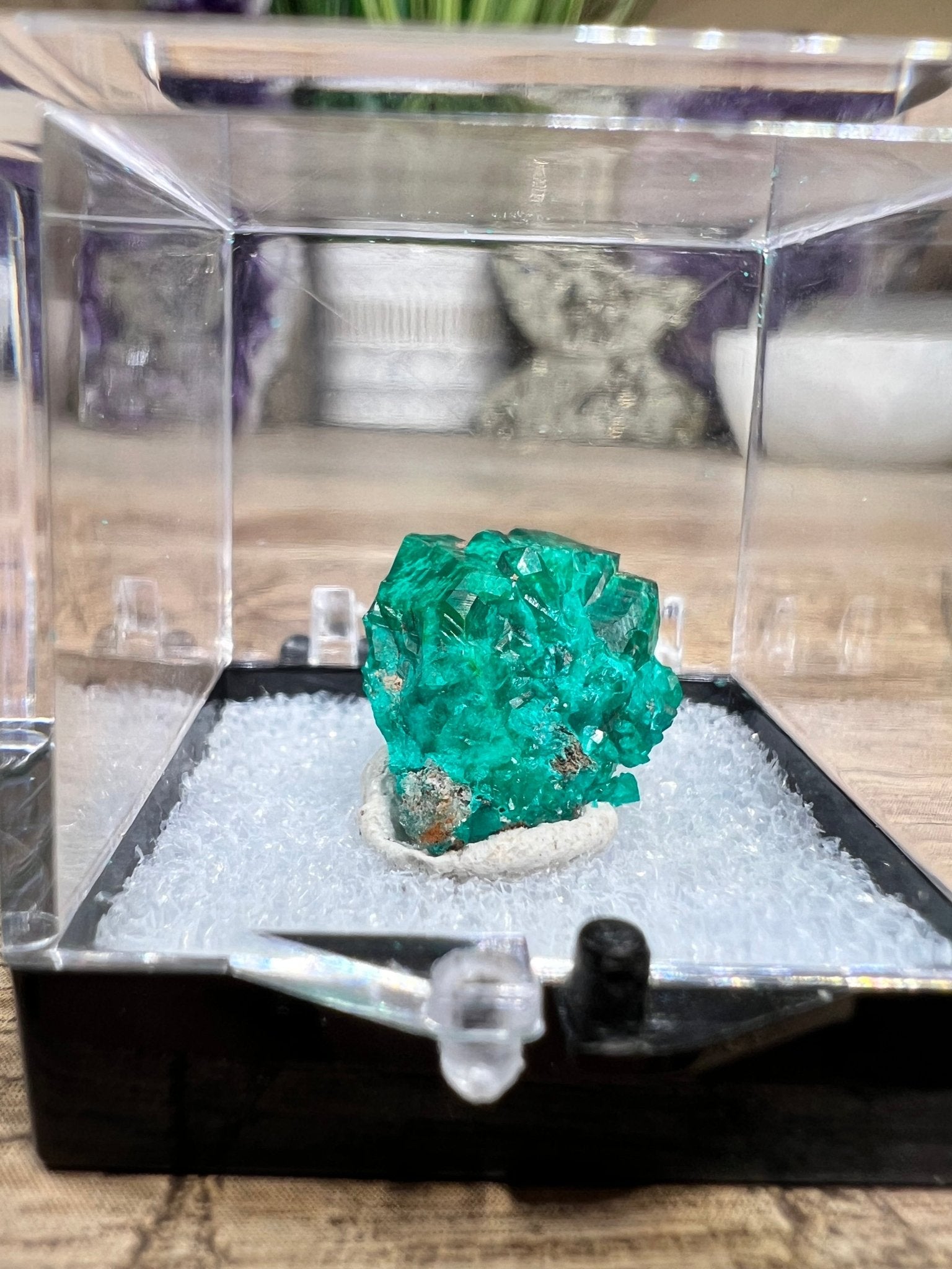 Gemmy Dioptase Small Specimen 5.02g - Purple Door Alchemy