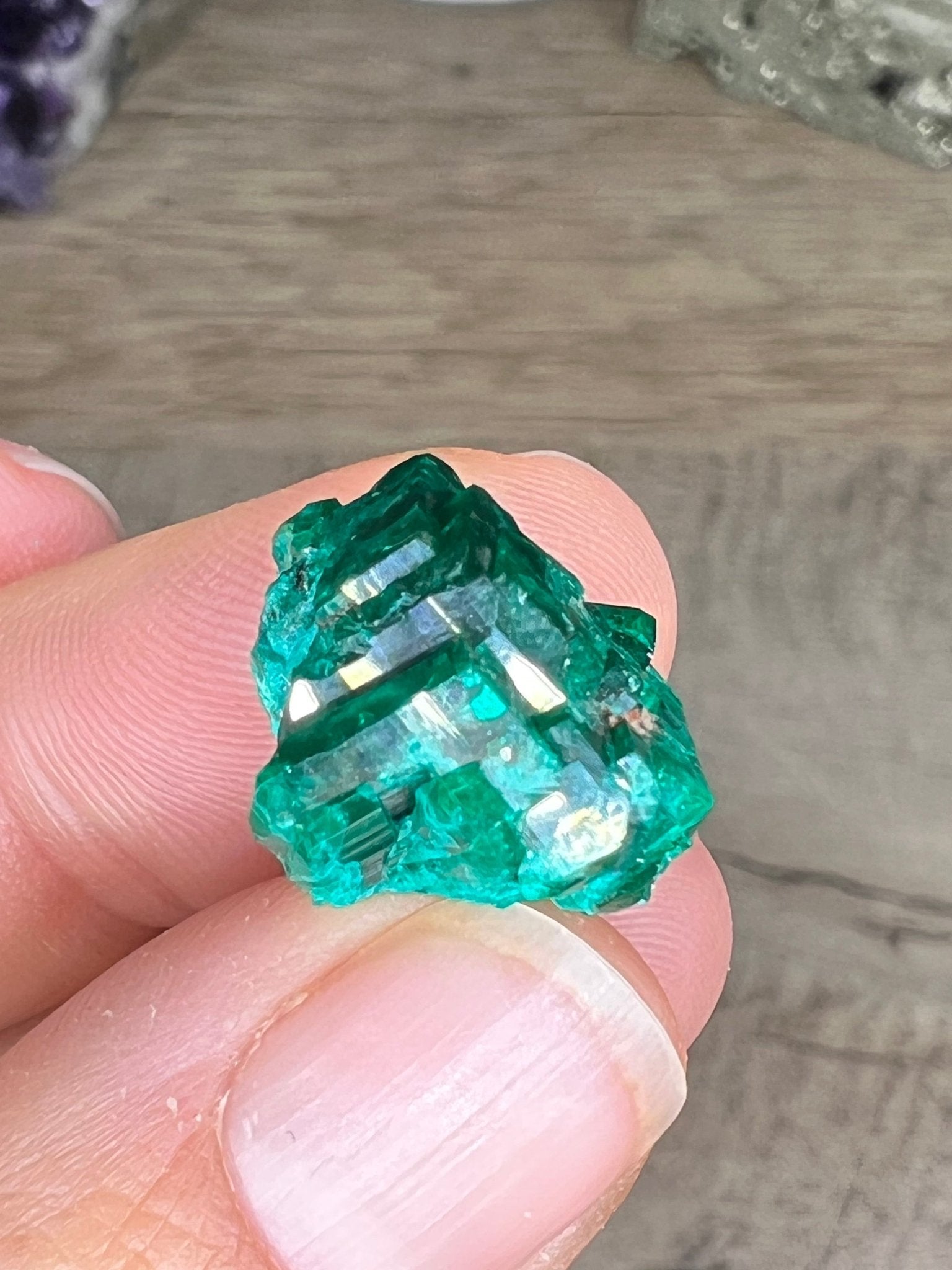 Gemmy Dioptase Small Specimen 5.02g - Purple Door Alchemy