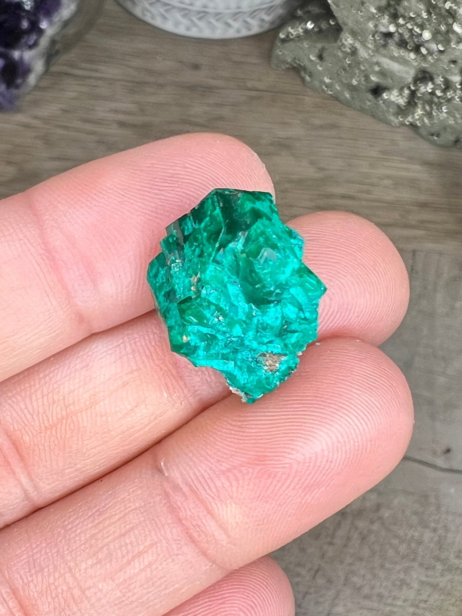 Gemmy Dioptase Small Specimen 5.02g - Purple Door Alchemy