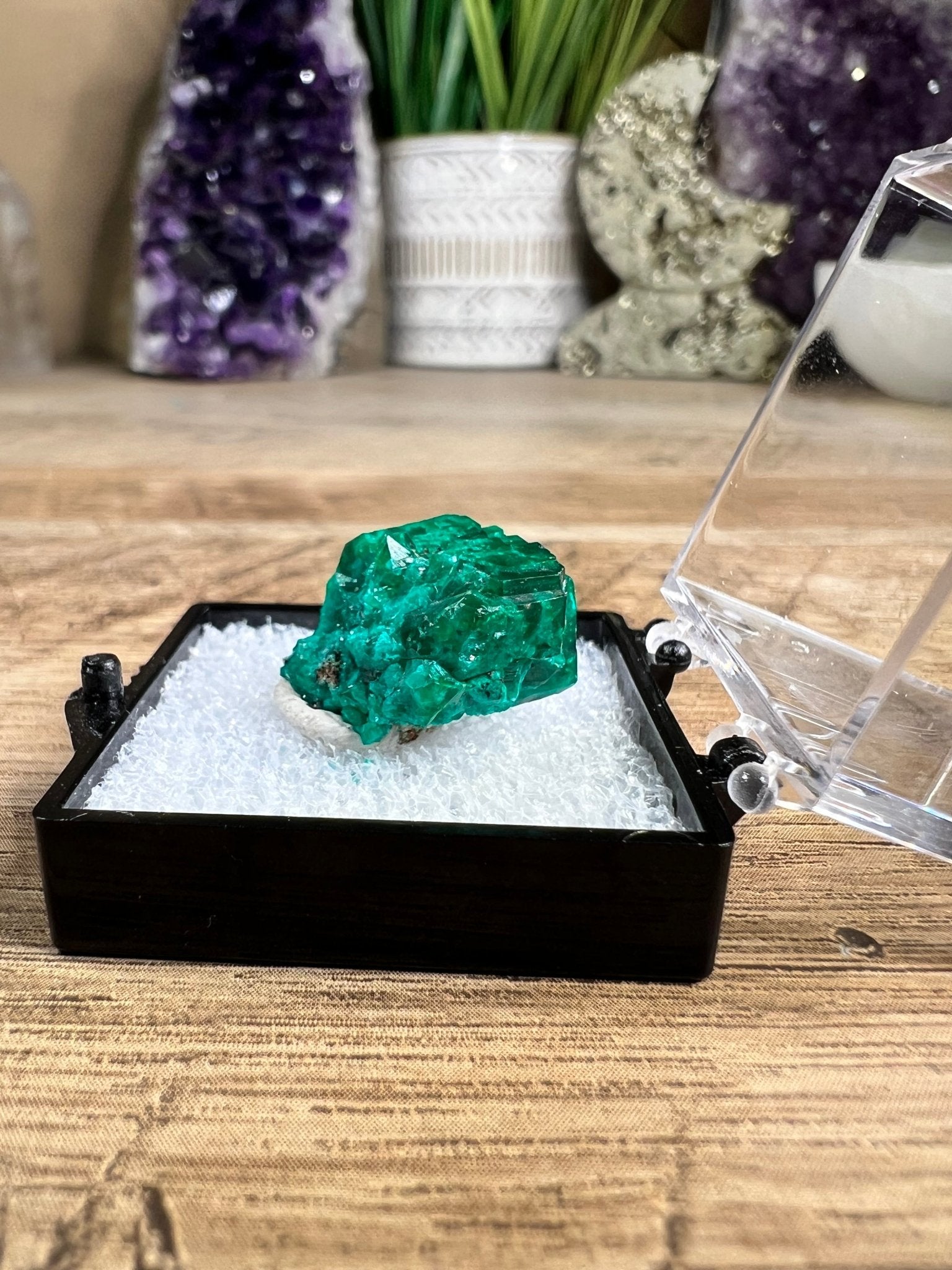 Gemmy Dioptase Small Specimen 5.02g - Purple Door Alchemy