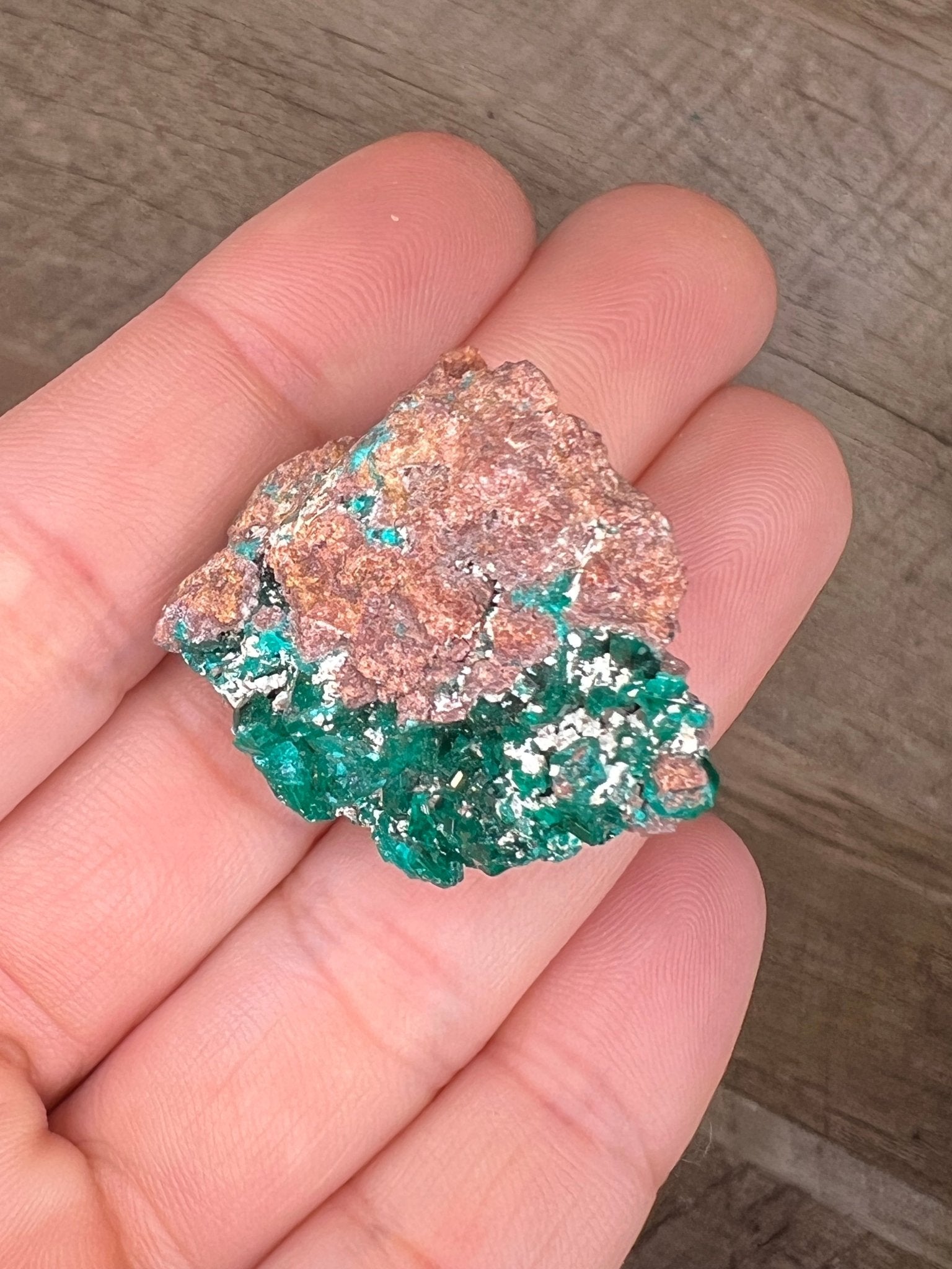 Gemmy Dioptase Specimen 11.77g - Purple Door Alchemy