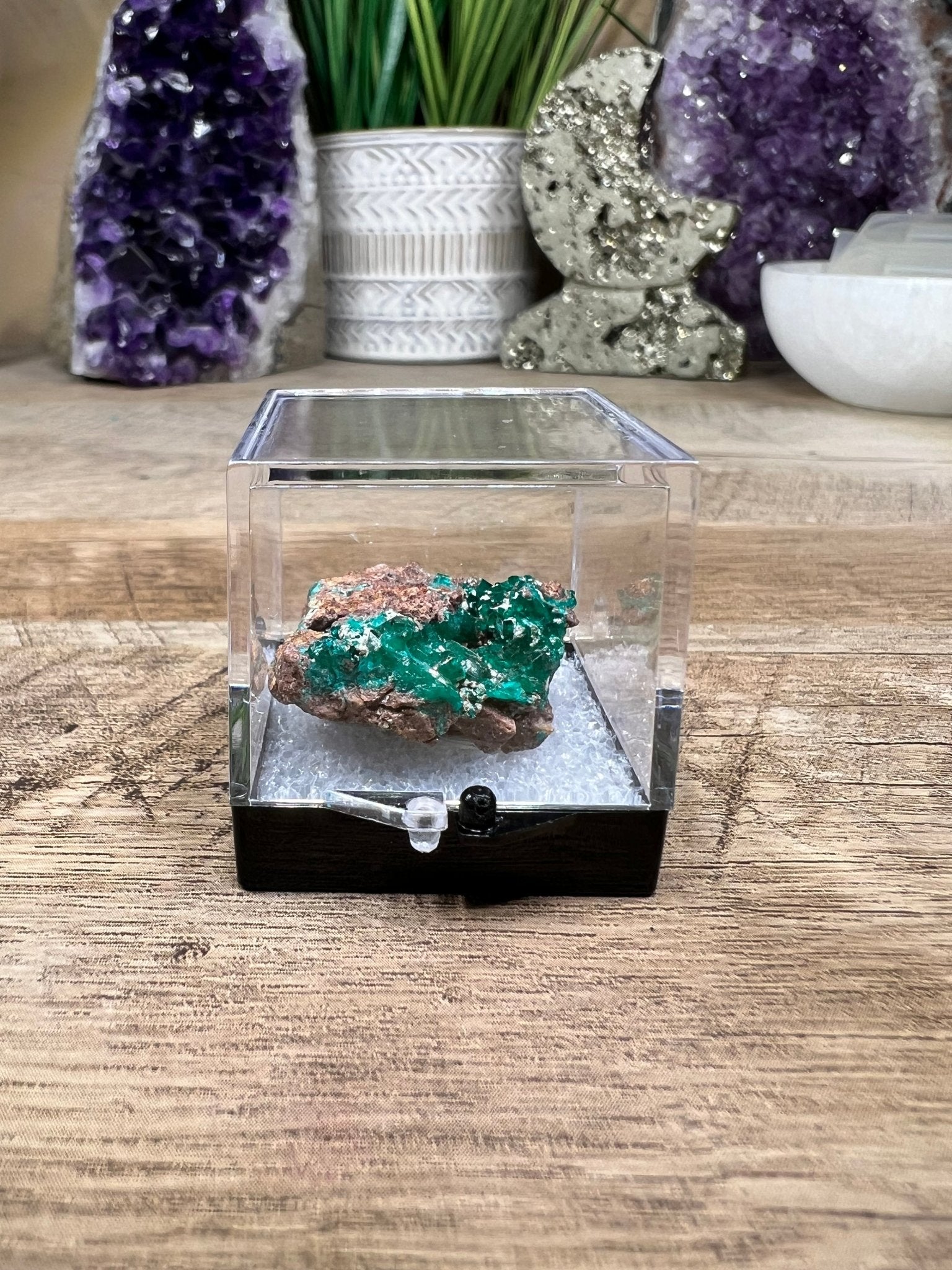 Gemmy Dioptase Specimen 11.77g - Purple Door Alchemy