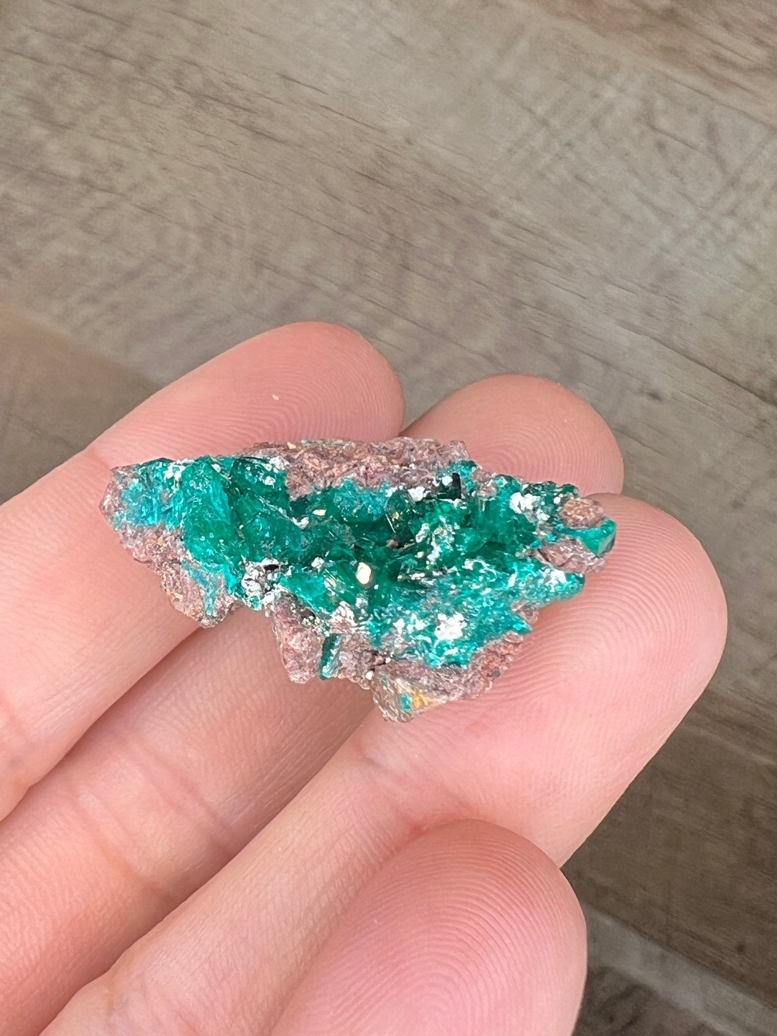 Gemmy Dioptase Specimen 11.77g - Purple Door Alchemy