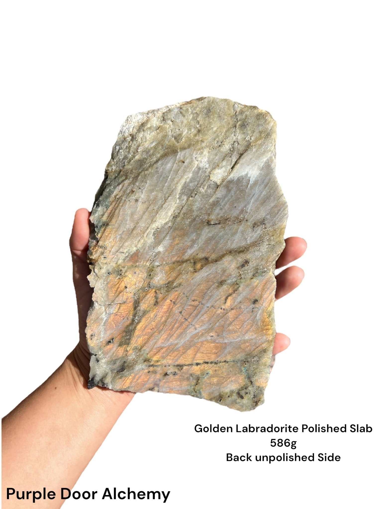 Golden Flash Labradorite Polished Slab 586g - Purple Door Alchemy