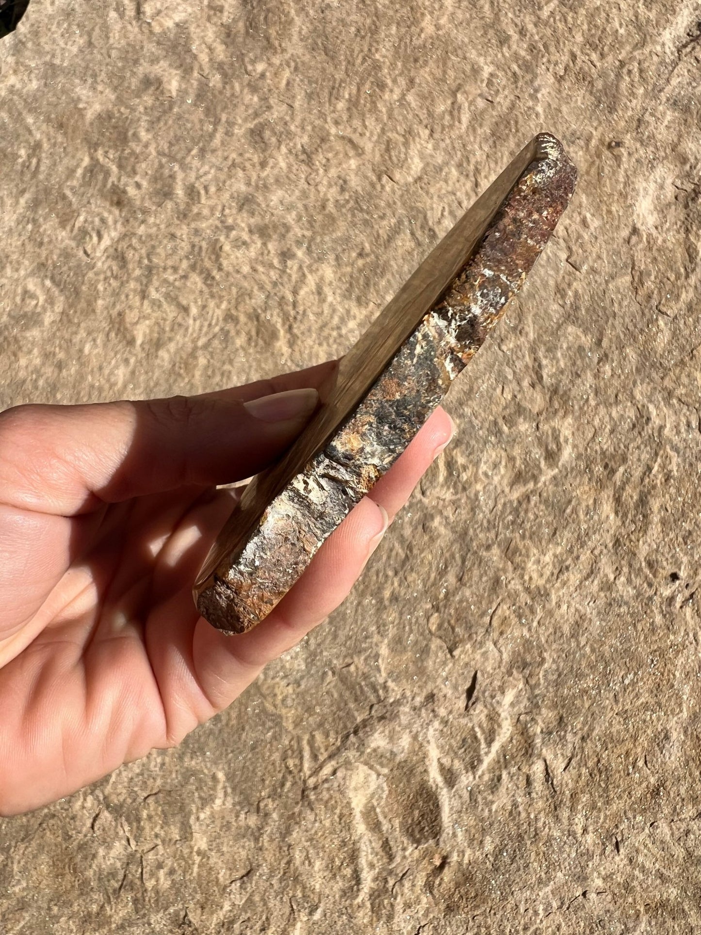 Lionskin Slab 157g - Purple Door Alchemy