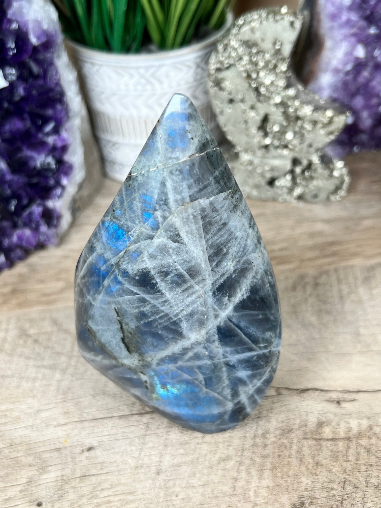 Polished Blue Labradorite Flame 5.7in - Purple Door Alchemy