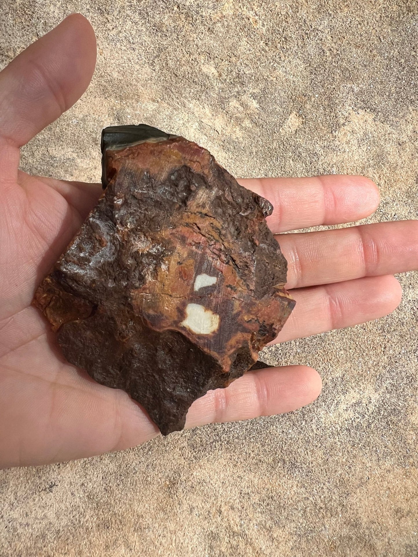 Polychrome Desert Jasper Polished Slab 88g - Purple Door Alchemy