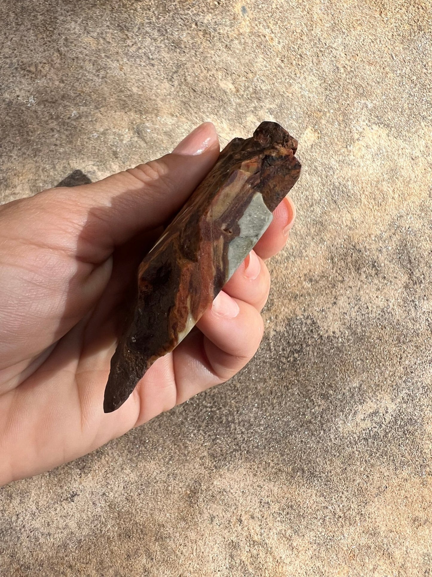 Polychrome Desert Jasper Polished Slab 88g - Purple Door Alchemy