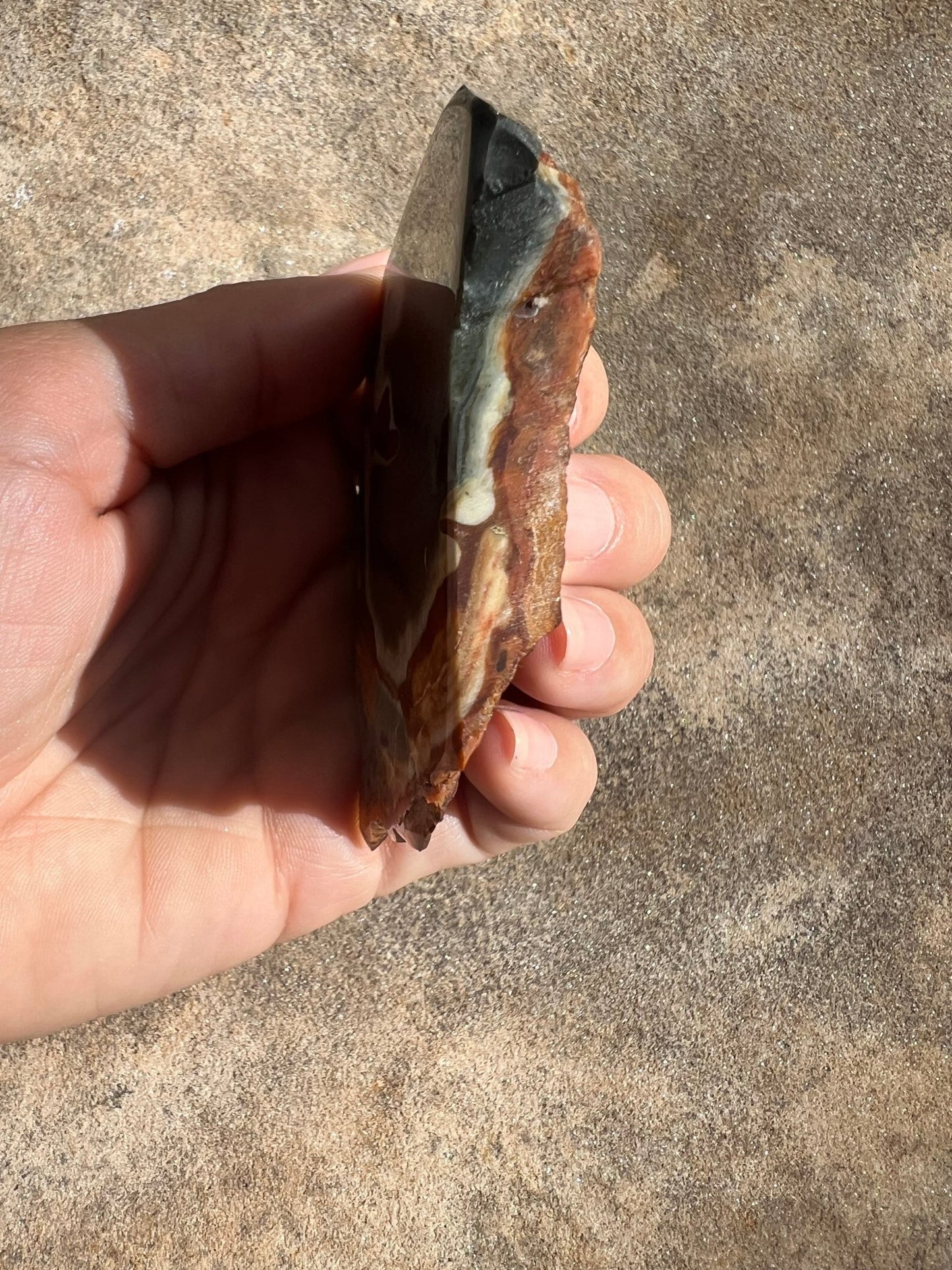Polychrome Desert Jasper Polished Slab 88g - Purple Door Alchemy