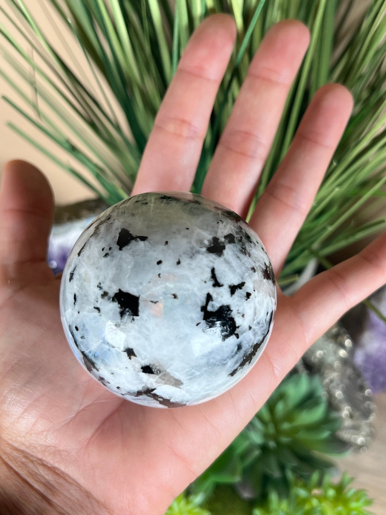 Rainbow Moonstone Sphere 61mm (2.4") - Purple Door Alchemy