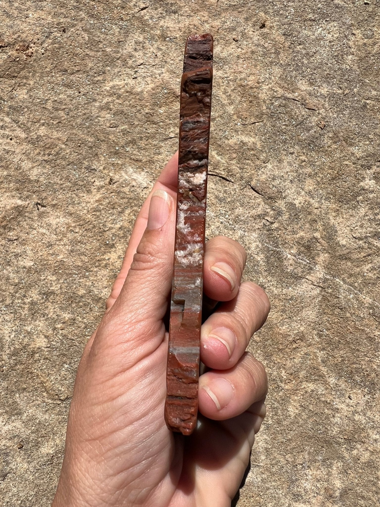 Rainbow Petrified Wood Slab 162g - Purple Door Alchemy