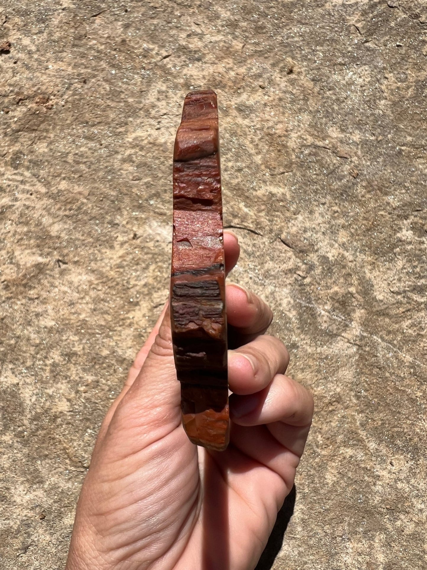 Rainbow Petrified Wood Slab 162g - Purple Door Alchemy