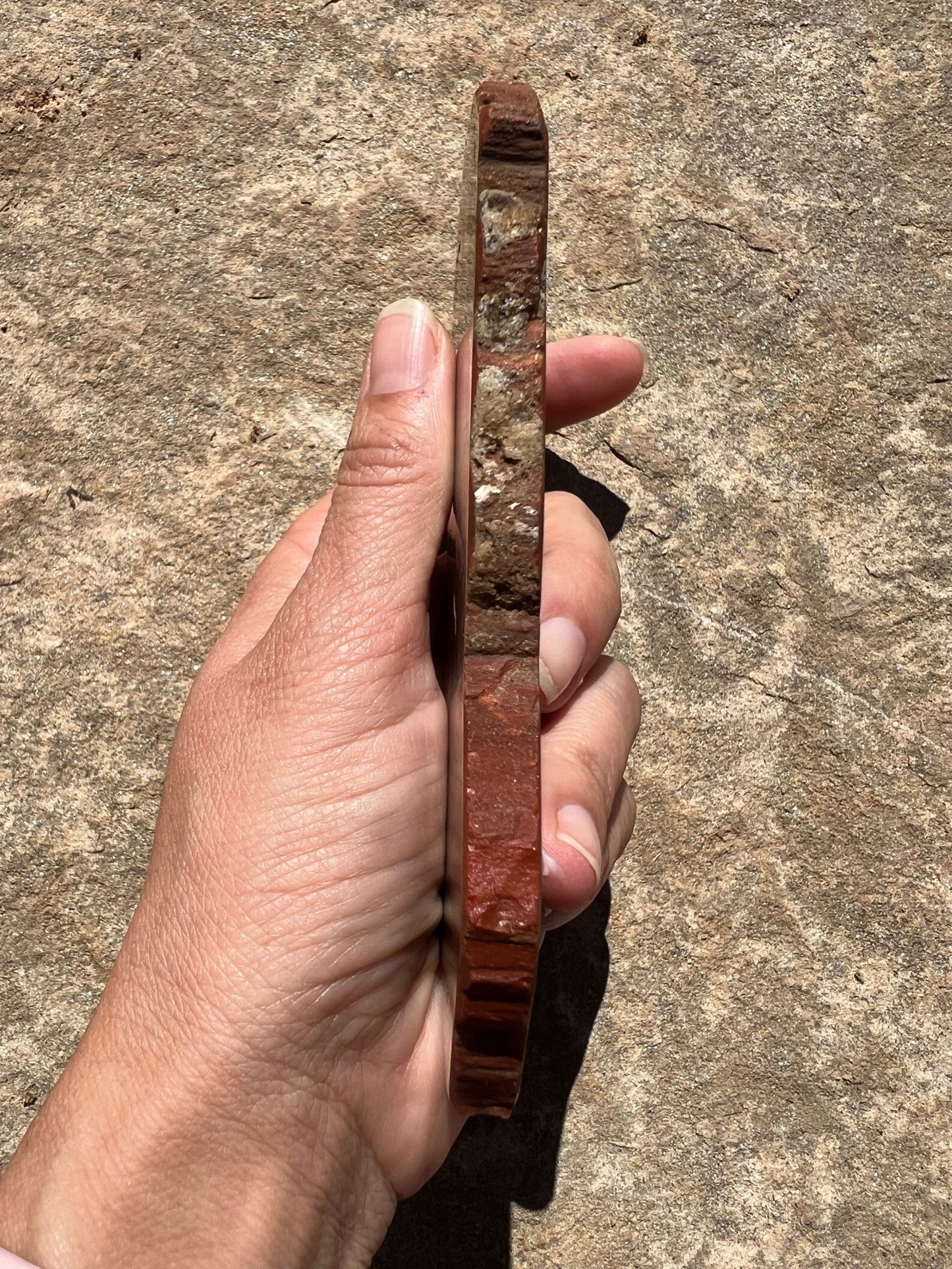 Rainbow Petrified Wood Slab 162g - Purple Door Alchemy