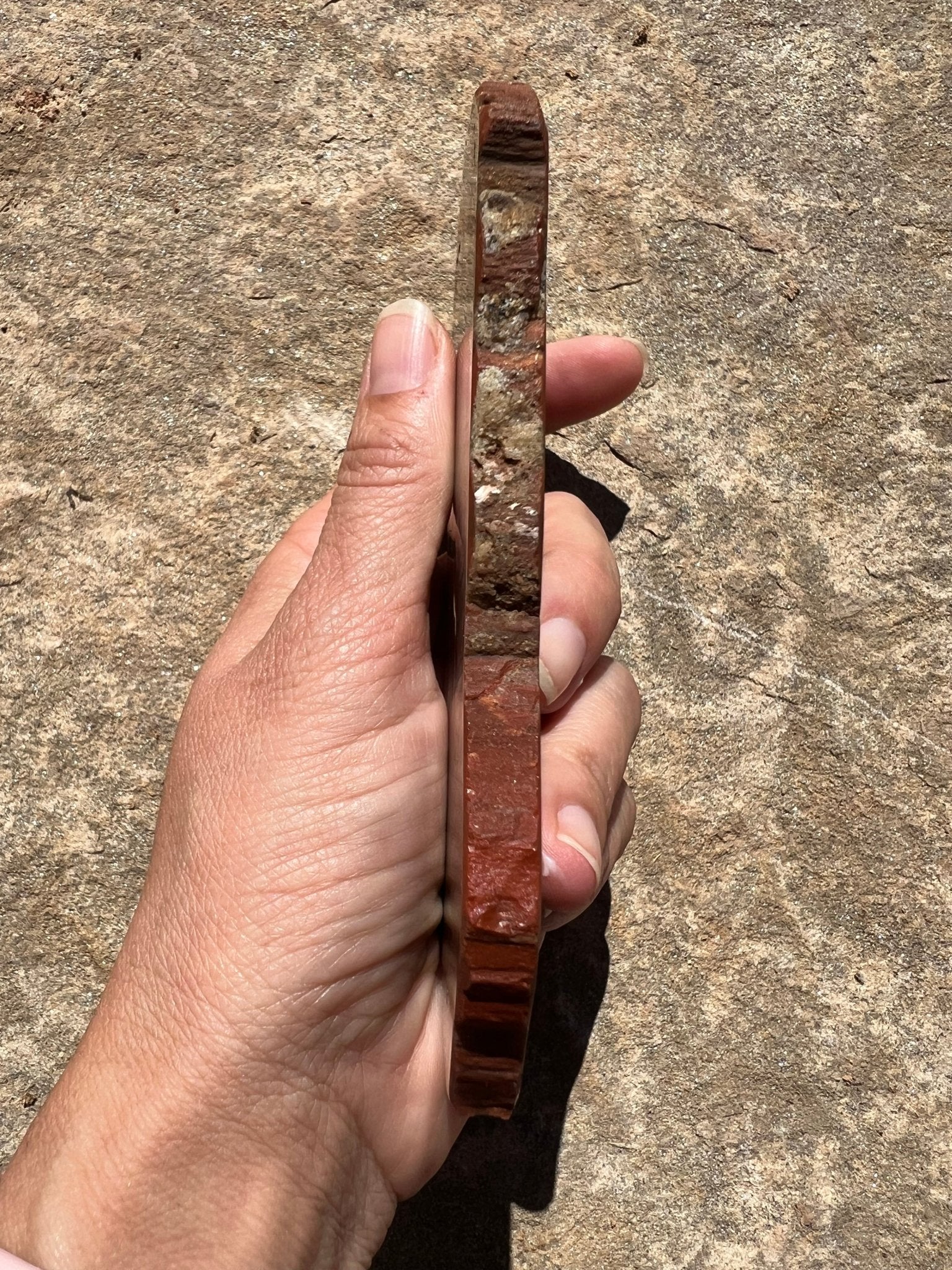 Rainbow Petrified Wood Slab 162g - Purple Door Alchemy