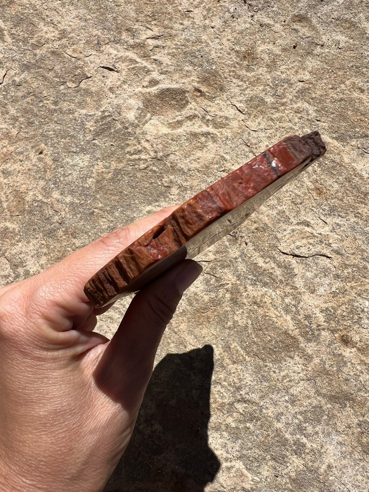 Rainbow Petrified Wood Slab 170g - Purple Door Alchemy