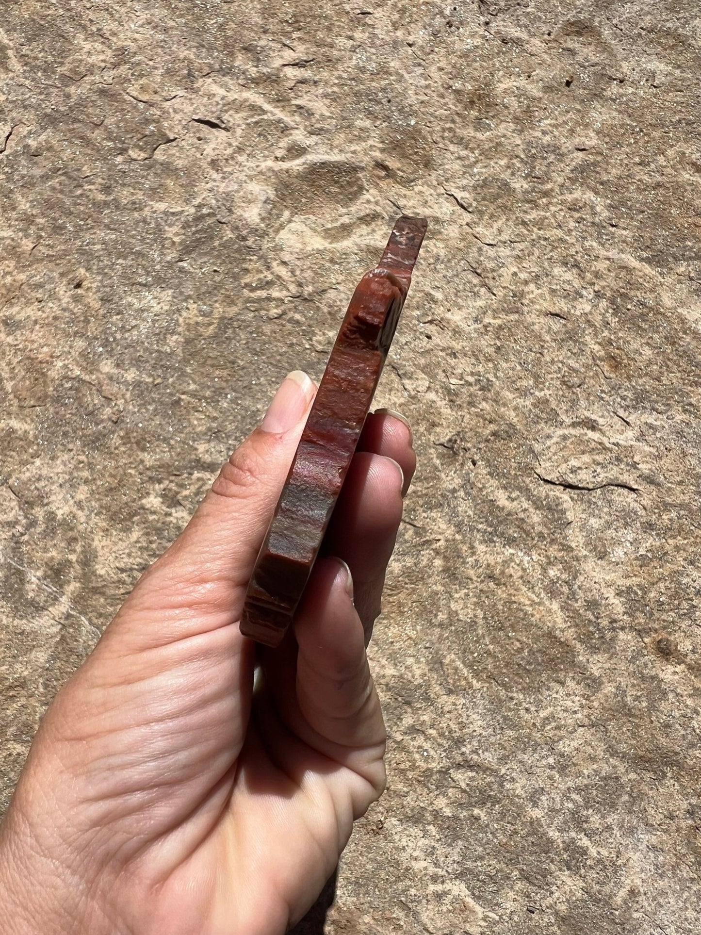 Rainbow Petrified Wood Slab 170g - Purple Door Alchemy