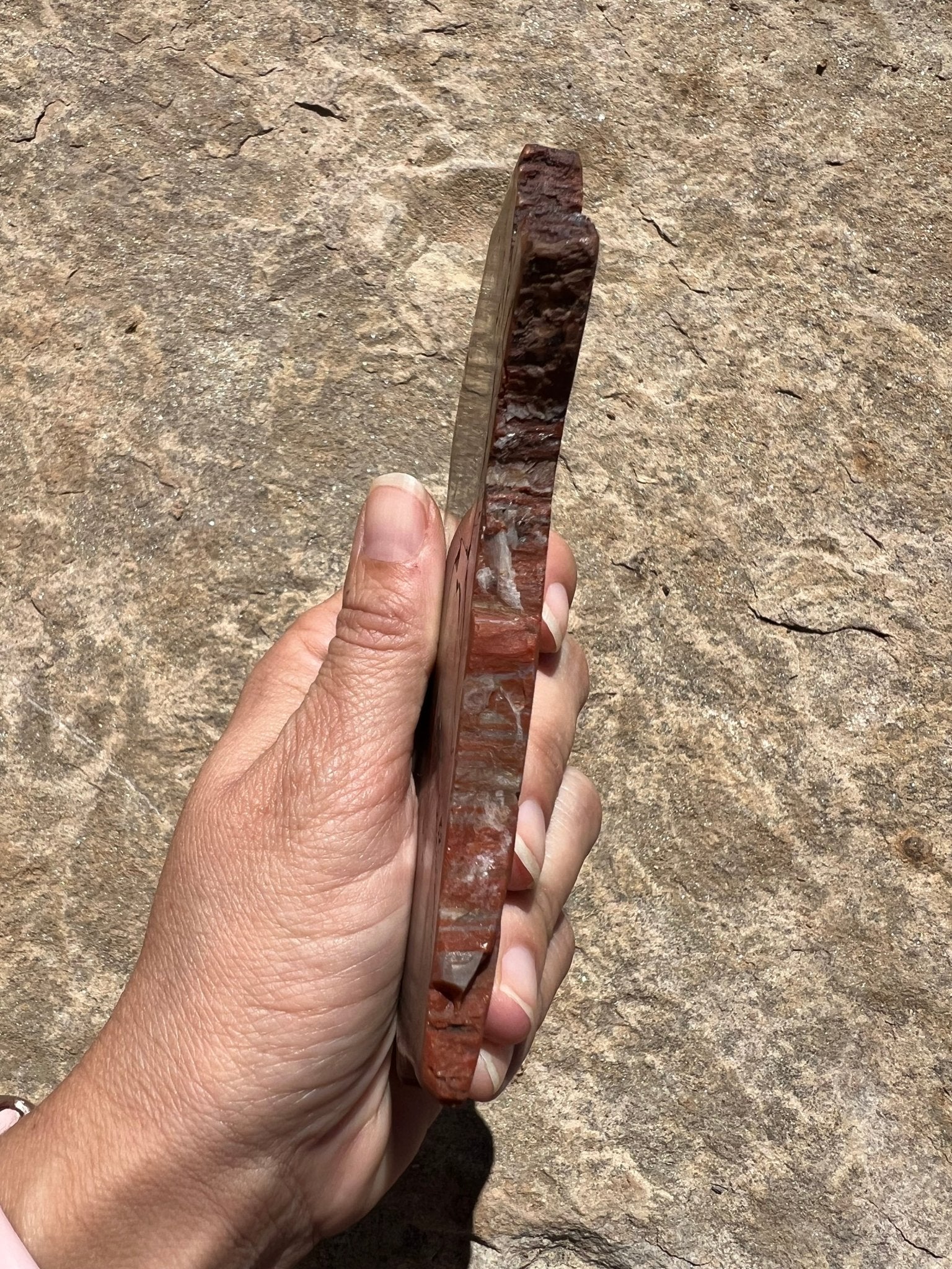 Rainbow Petrified Wood Slab 170g - Purple Door Alchemy