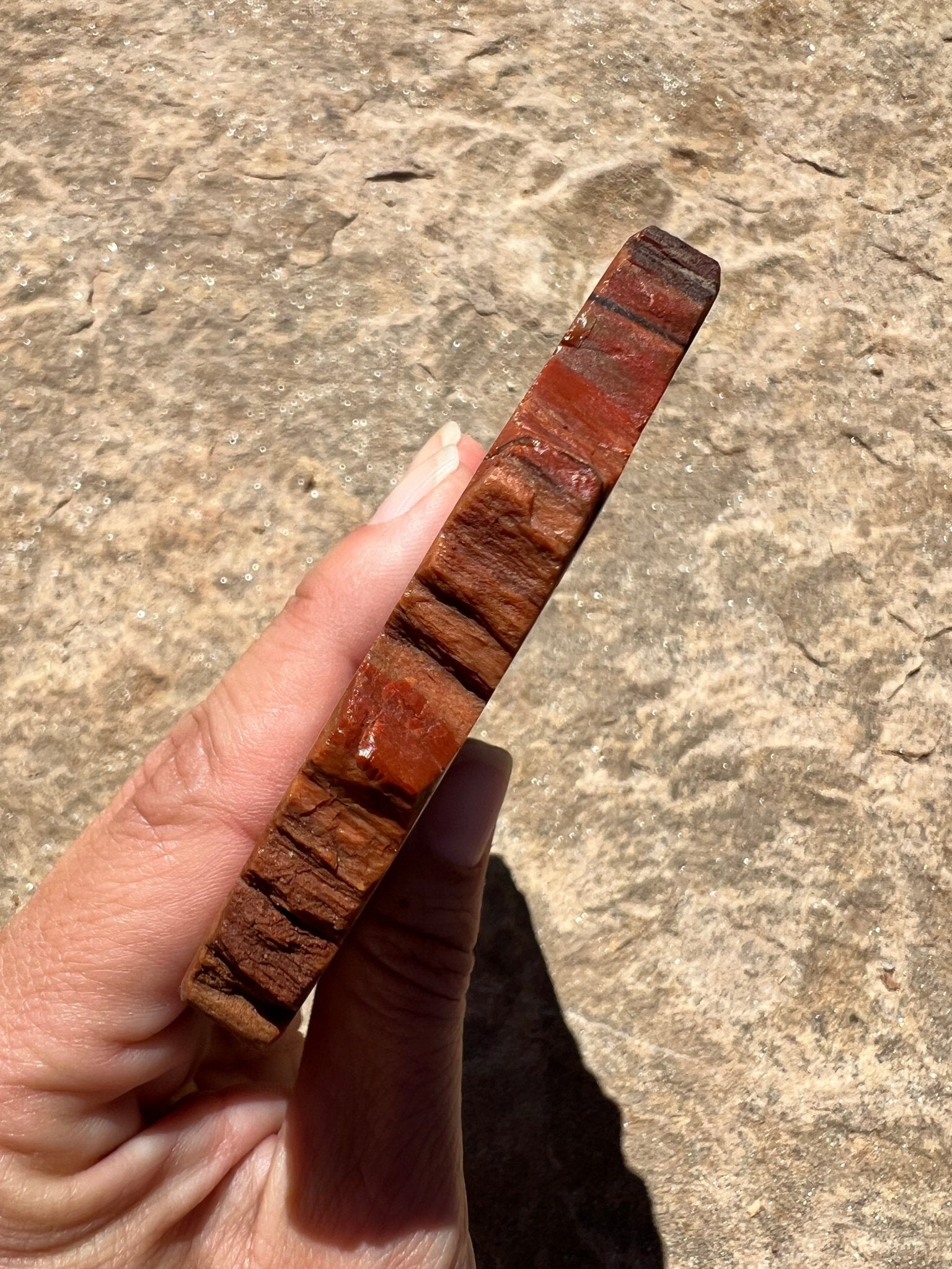 Rainbow Petrified Wood Slab 184g - Purple Door Alchemy