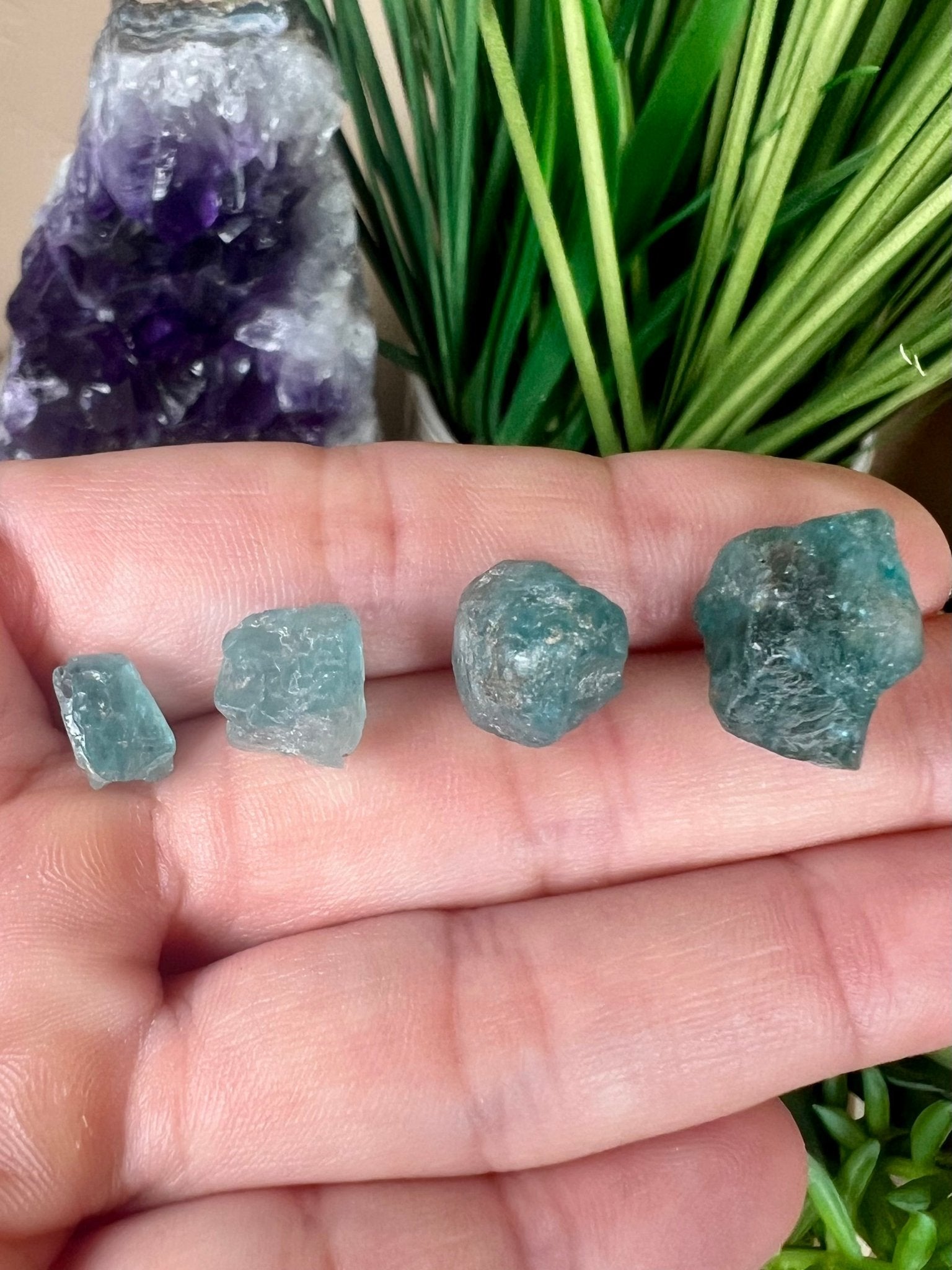 Raw Blue Apatite - Gemmy - Purple Door Alchemy