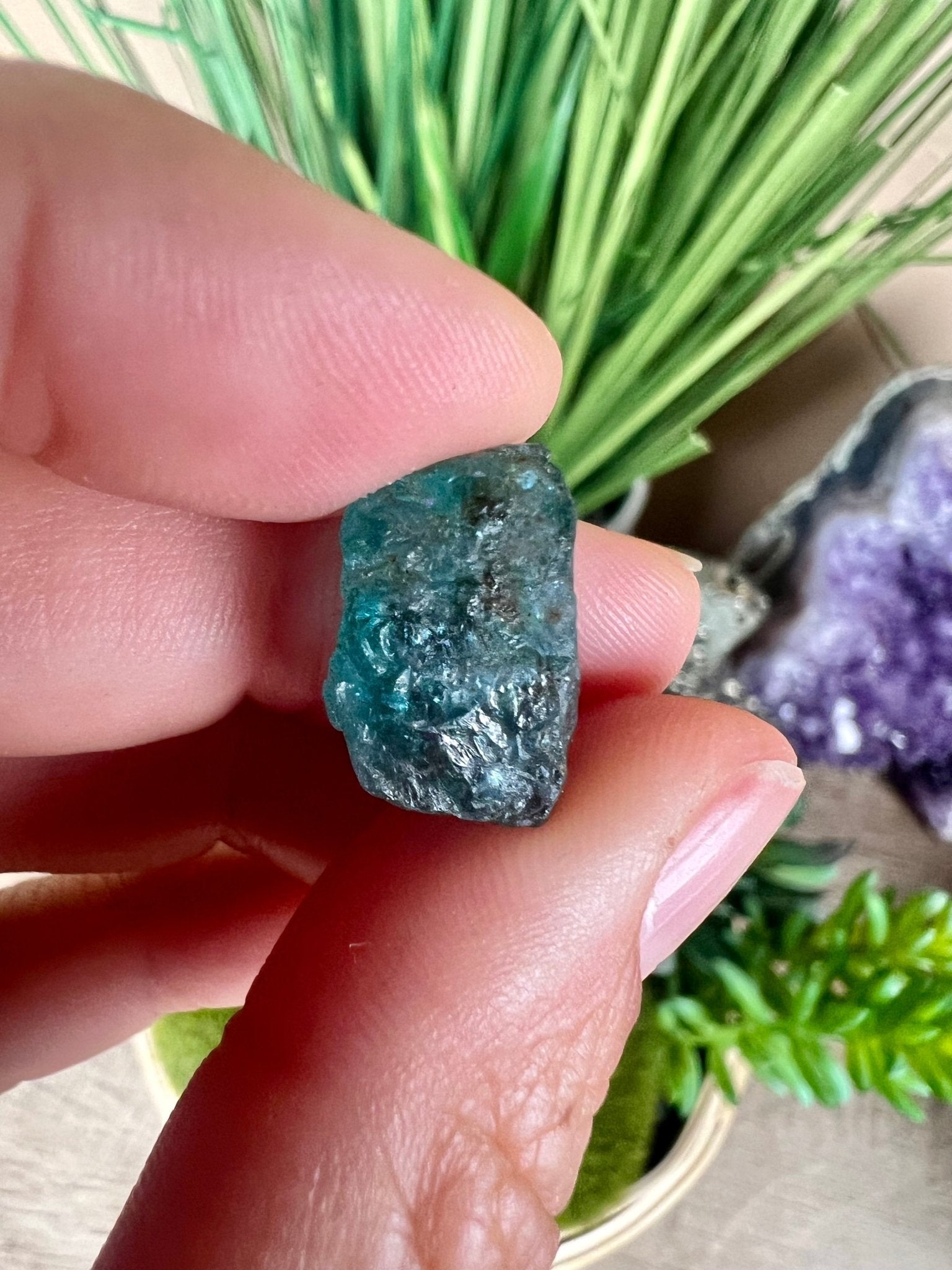Raw Blue Apatite - Gemmy - Purple Door Alchemy