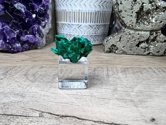 Raw Velvet Malachite Specimen 5g - 10g - Purple Door Alchemy