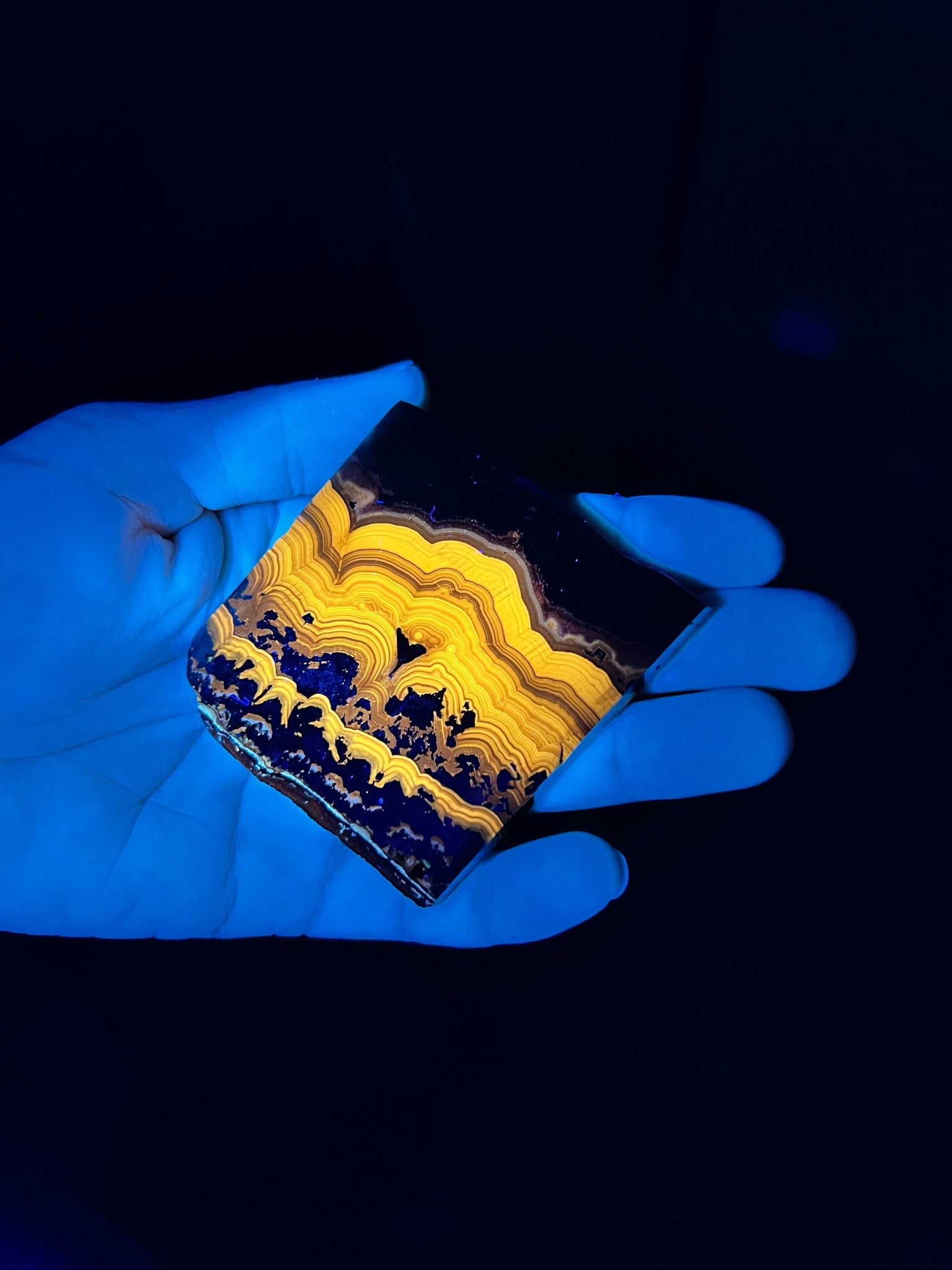 Schalenblende (Brunckite) Slabs - Purple Door Alchemy