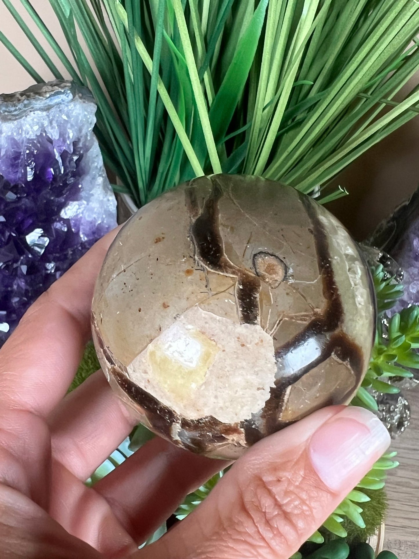 Septarian Sphere 63mm (2.48") - Purple Door Alchemy