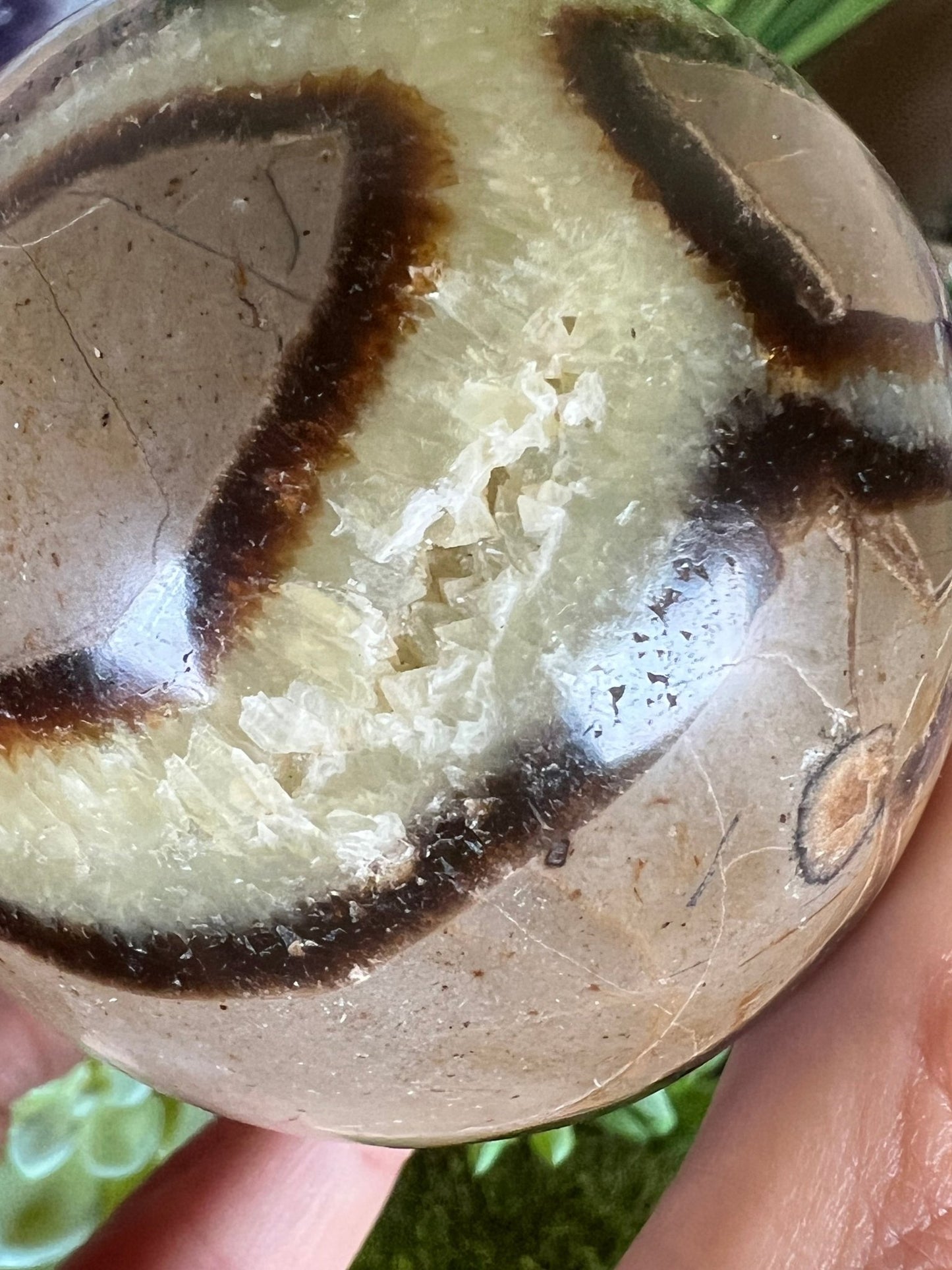 Septarian Sphere 63mm (2.48") - Purple Door Alchemy