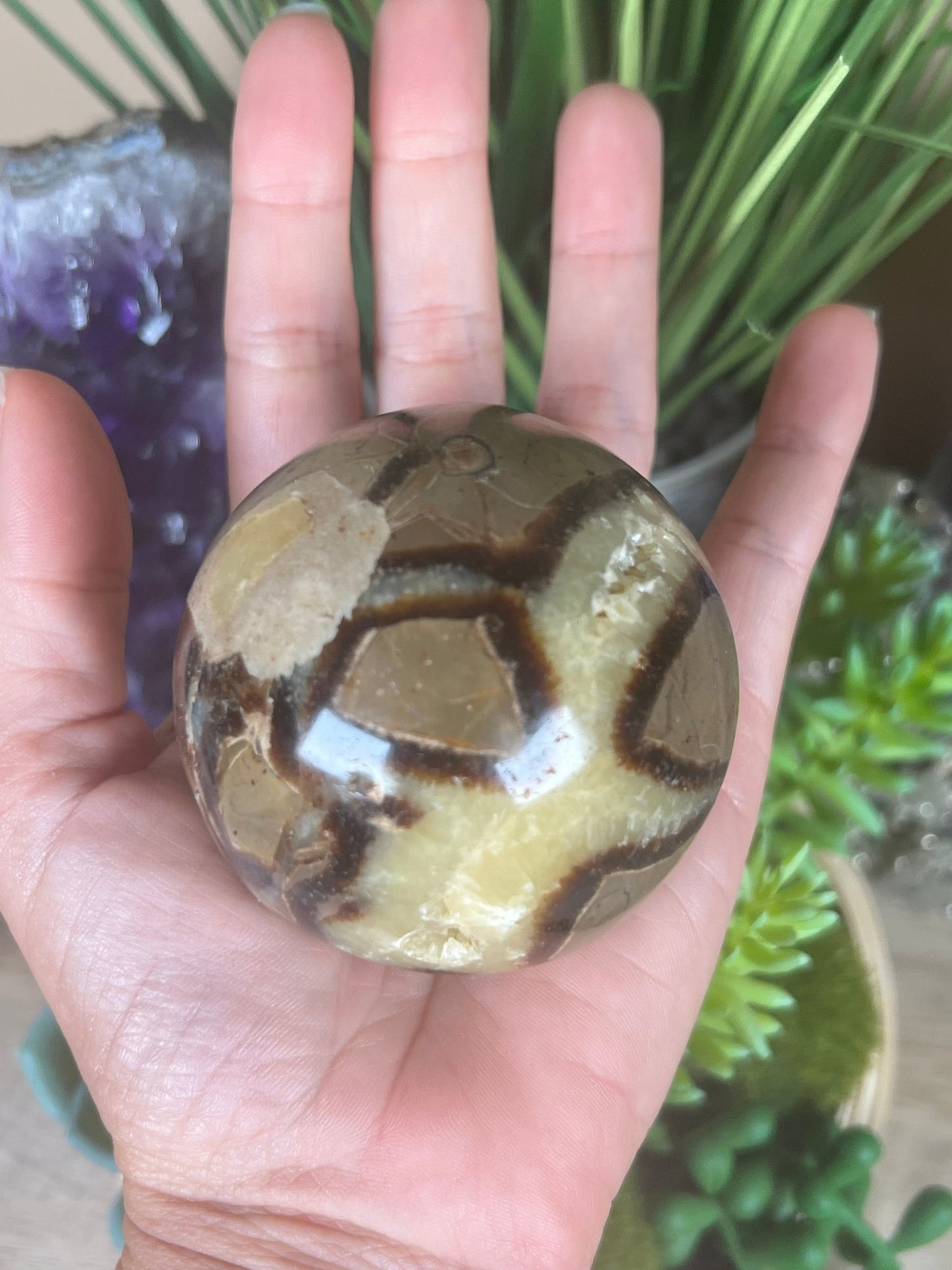 Septarian Sphere 63mm (2.48") - Purple Door Alchemy